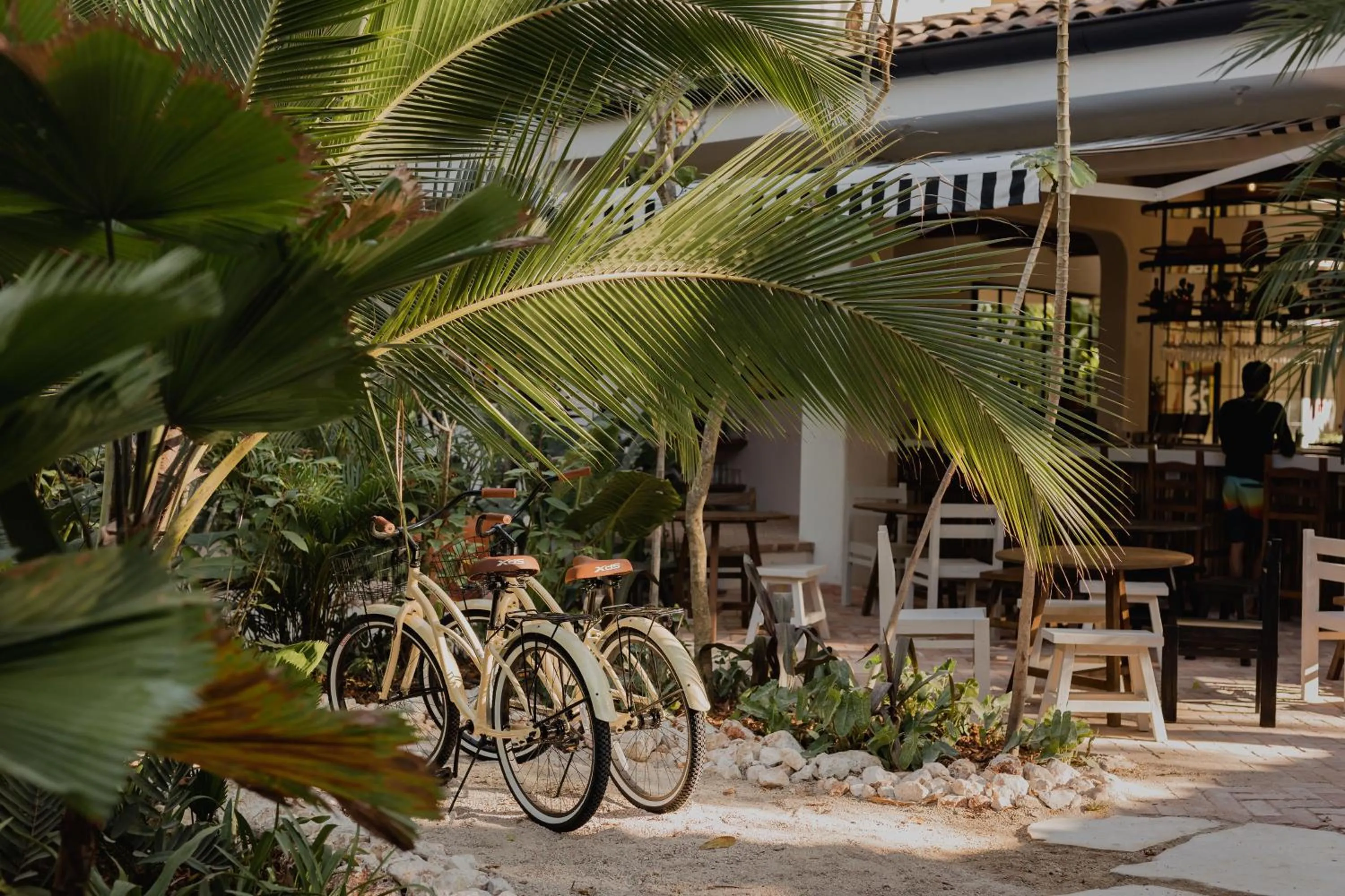 Restaurant/places to eat in Sendero Hotel