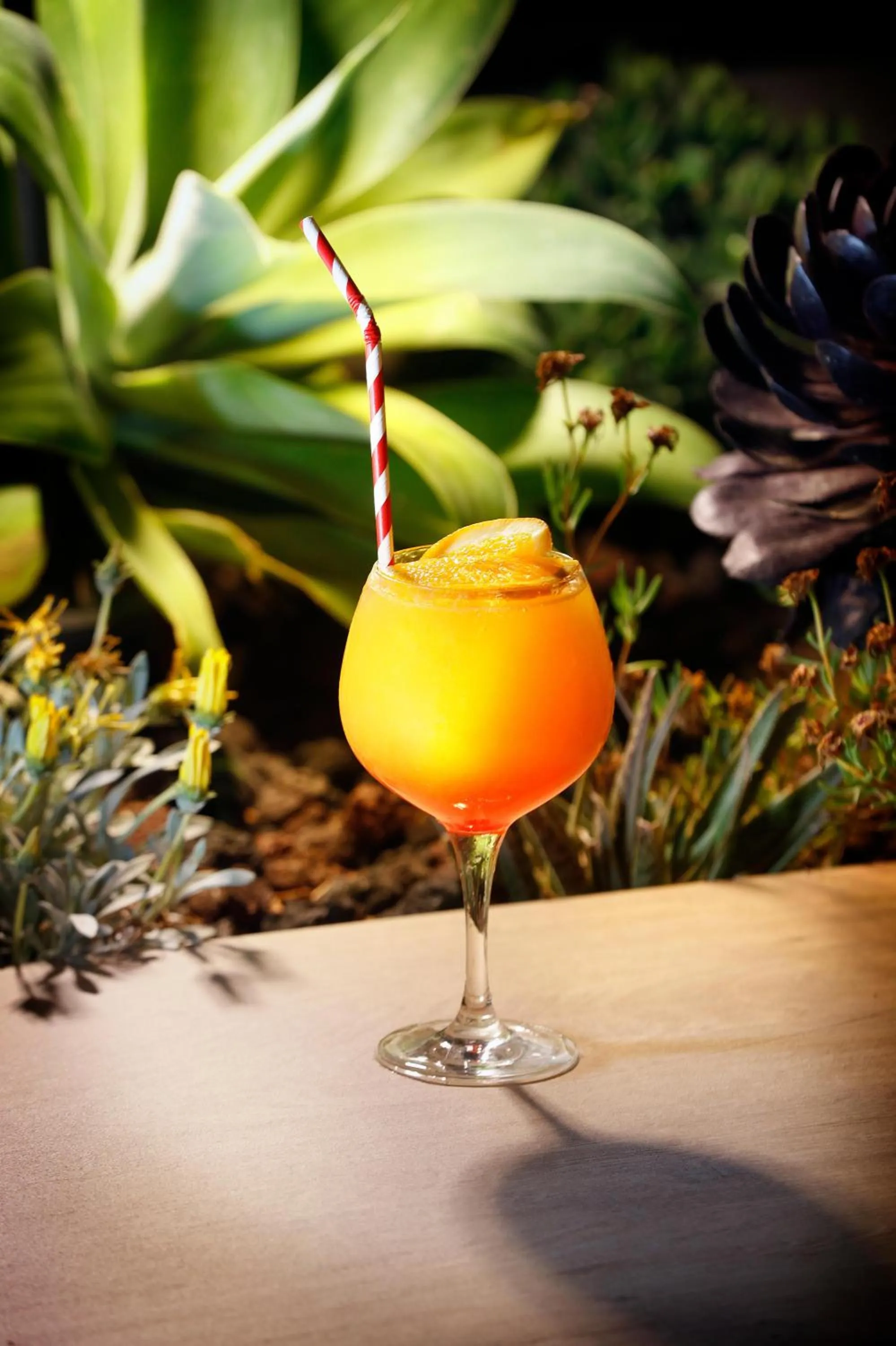 Lounge or bar in HCC Montblanc