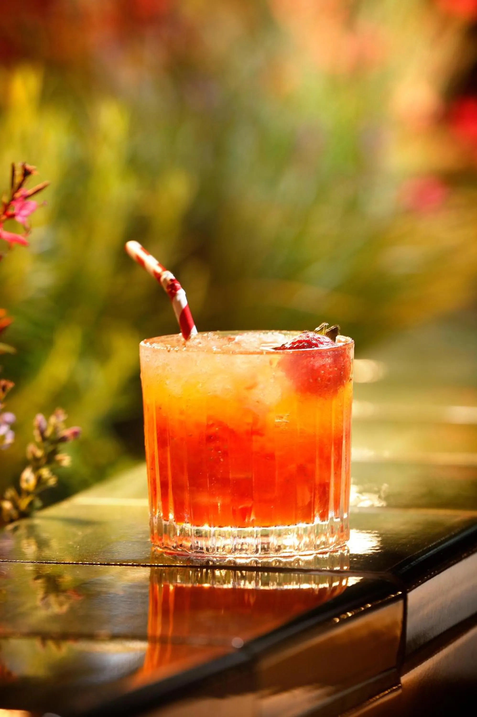 Lounge or bar in HCC Montblanc