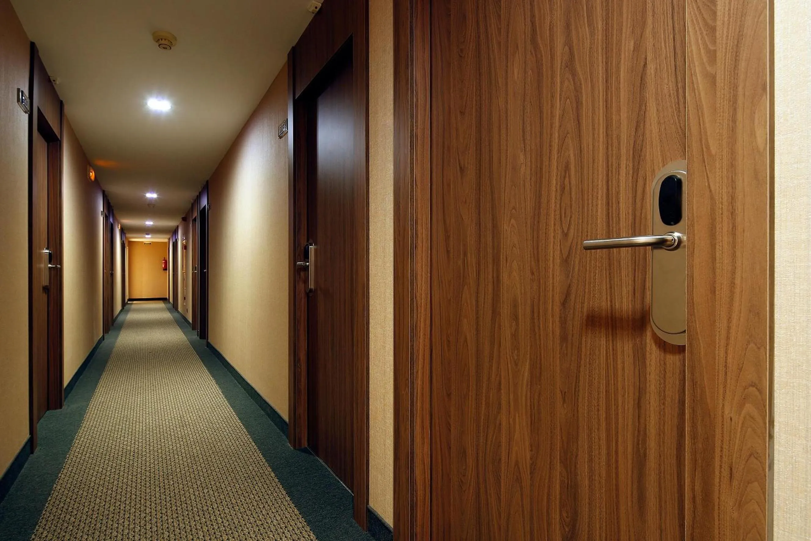 Other in HCC Montblanc