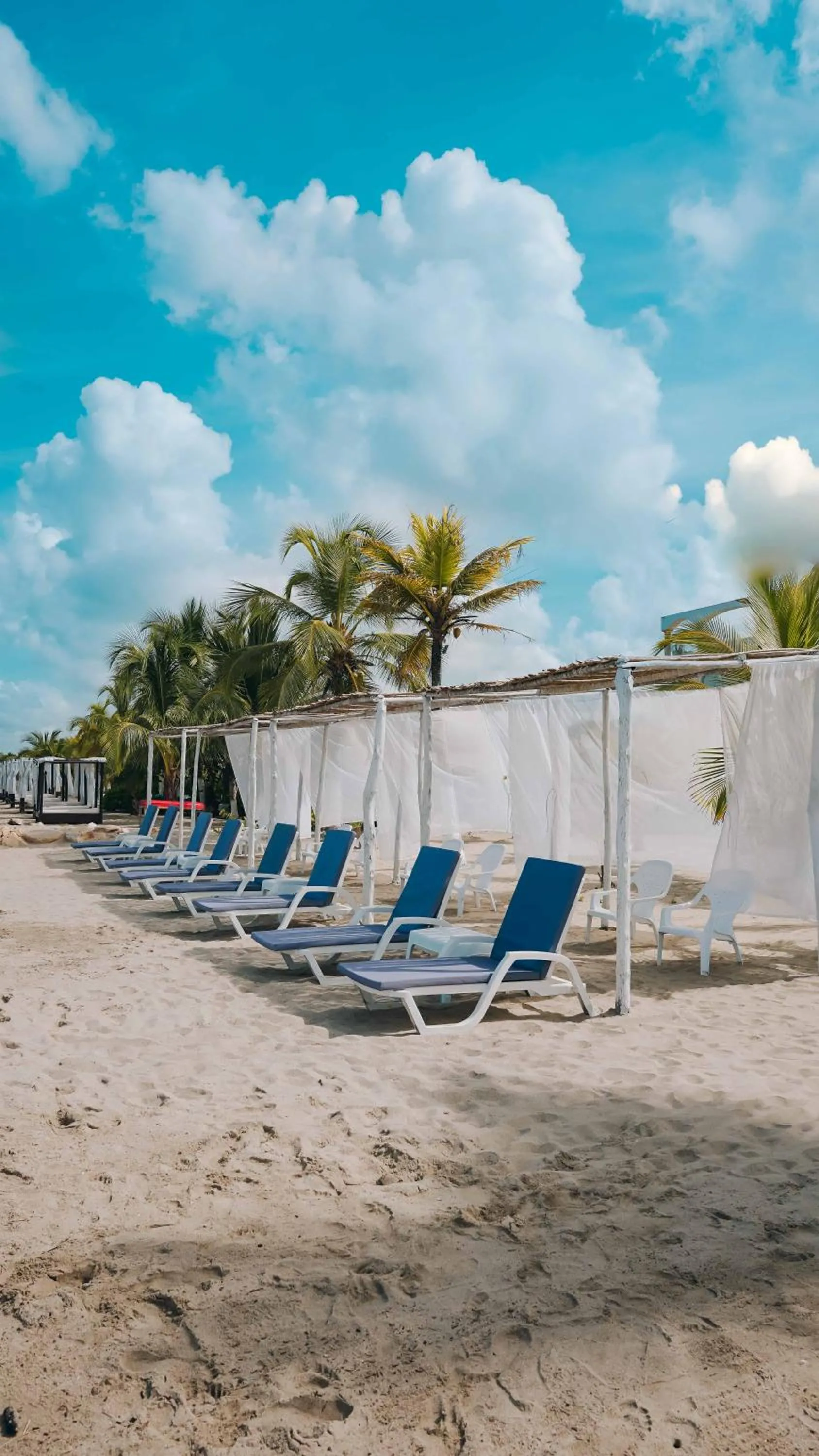 Beach in Makáry Beach Tolú by Bernalo Hotels