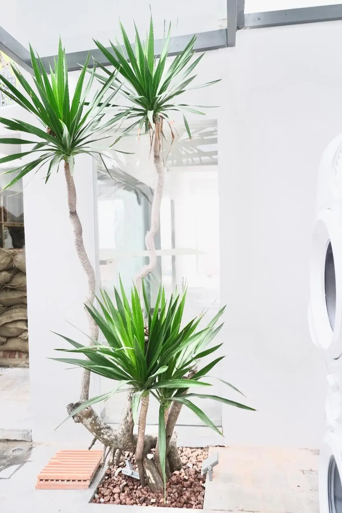 Patio in M Village Living Tú Xương Patio in M Village Living Tú Xương