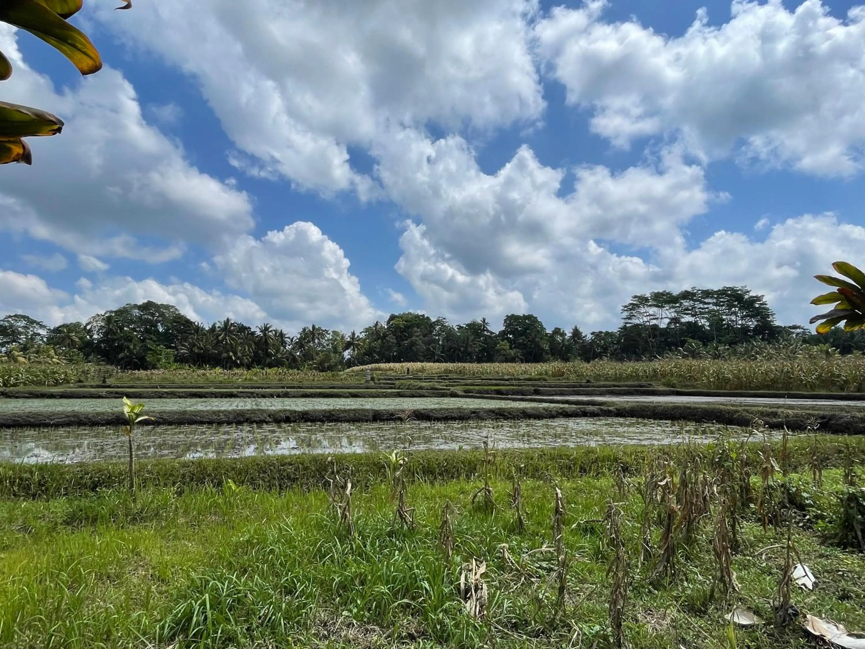 Natural landscape in Sirya Farm House