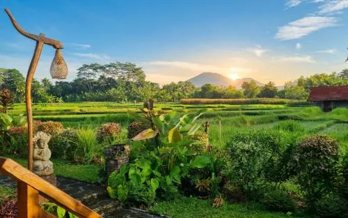 Garden in Sirya Farm House