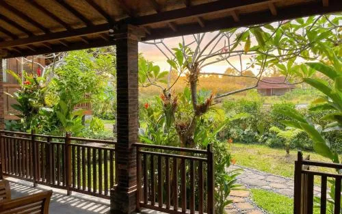 Garden in Sirya Farm House