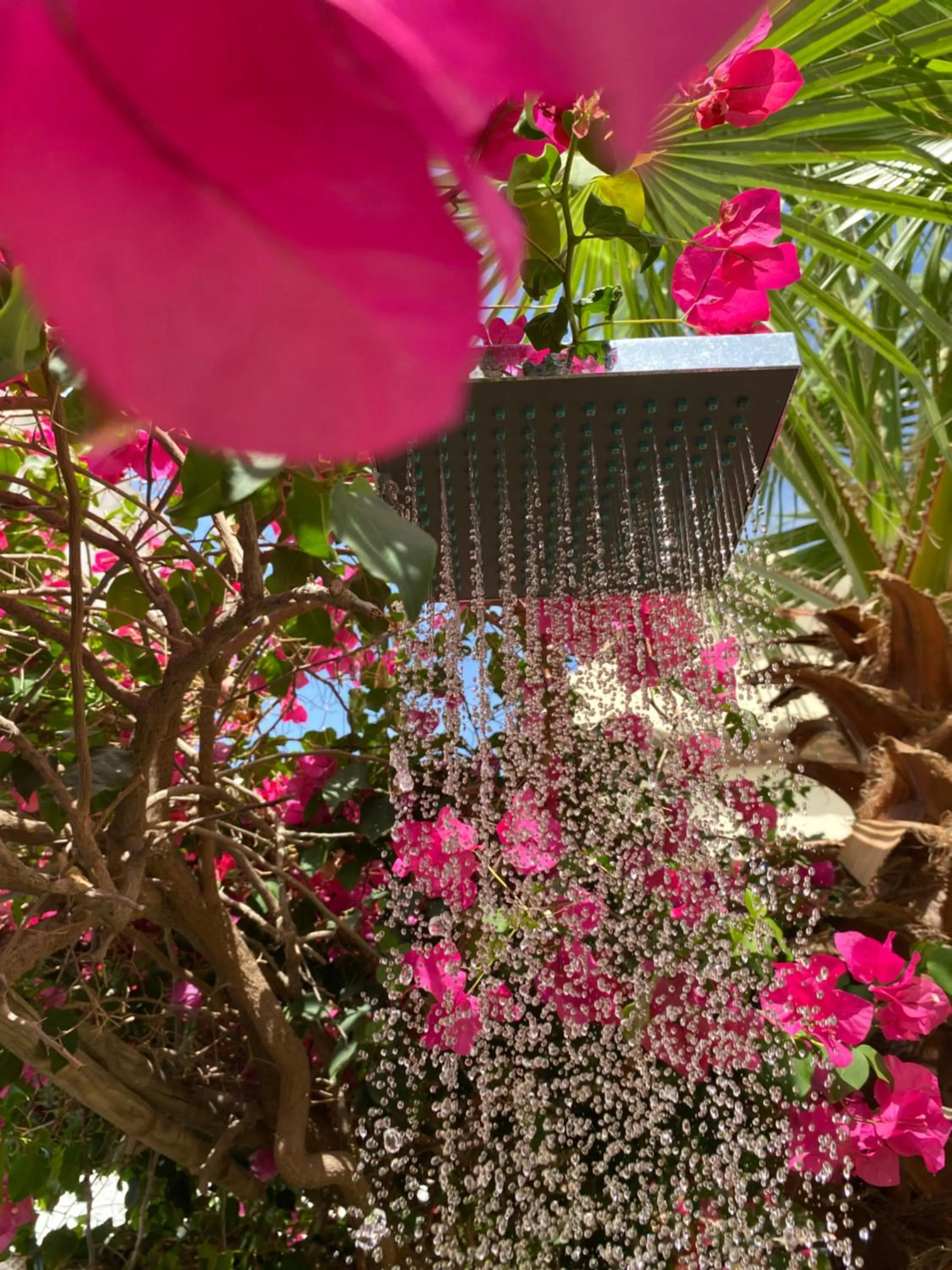 Shower in Boutique Hostal Lorca