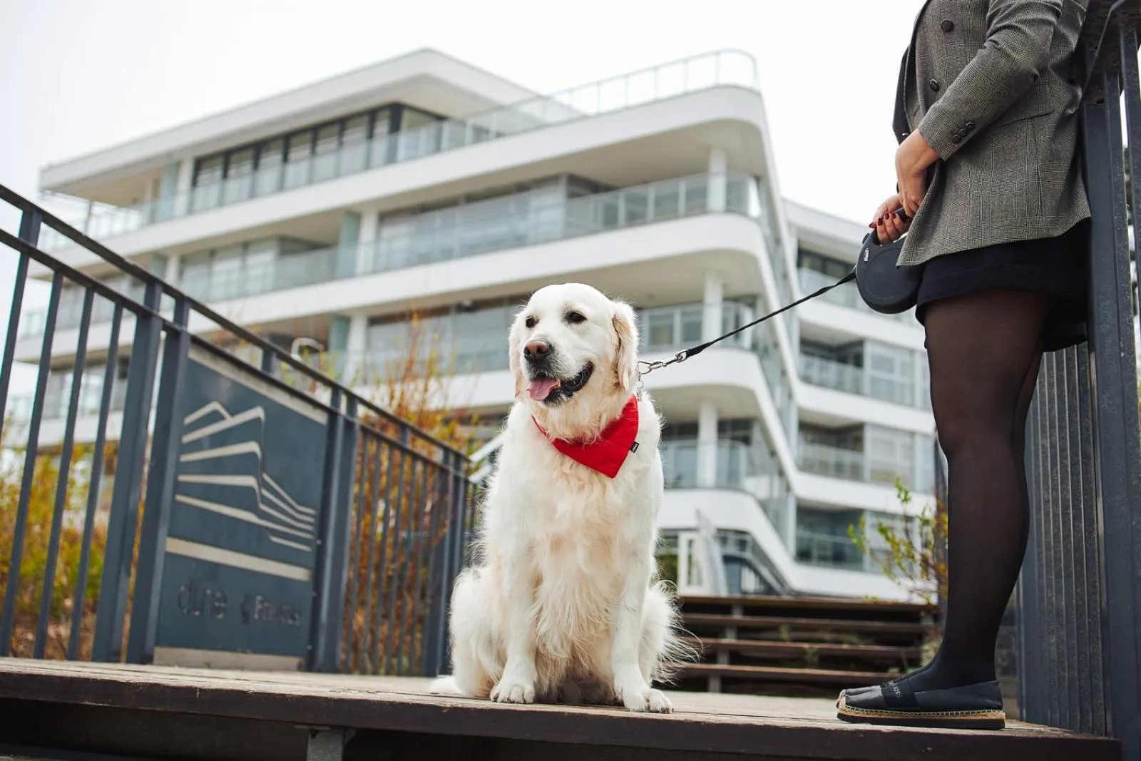 Pets in Dune Beach Resort - C