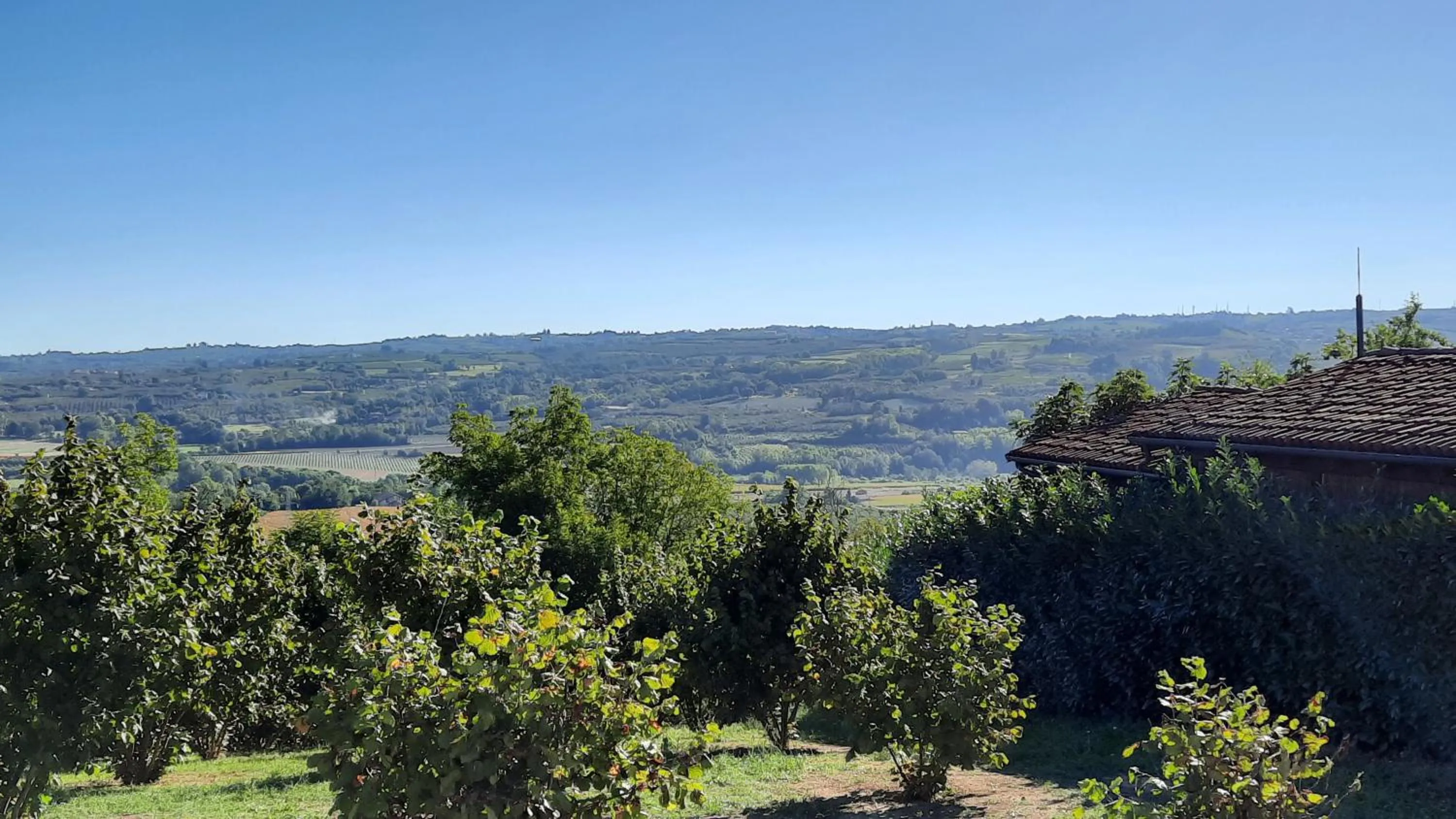 Natural landscape in B&B Ai Tre Cavalli