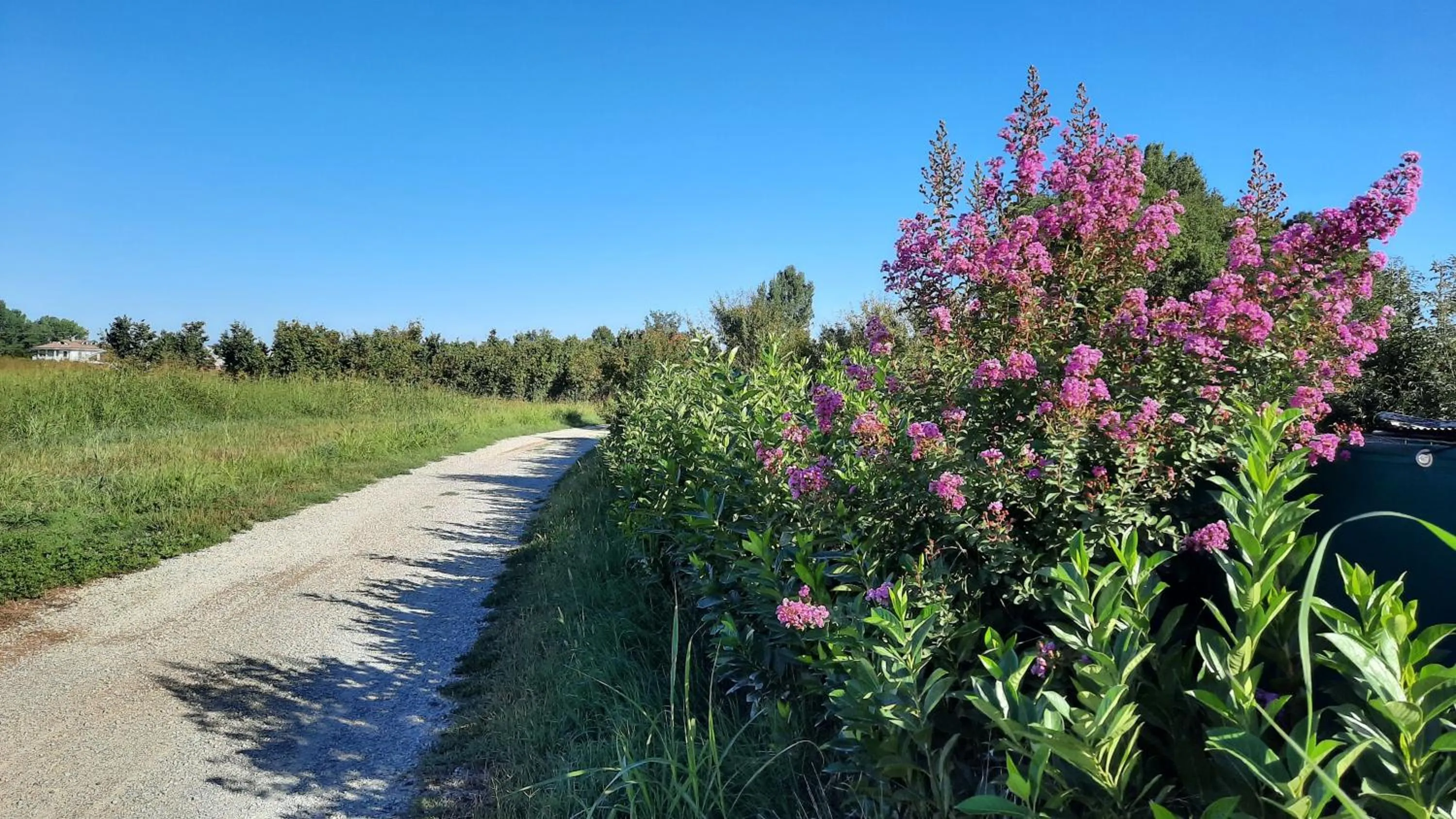 Natural landscape in B&B Ai Tre Cavalli