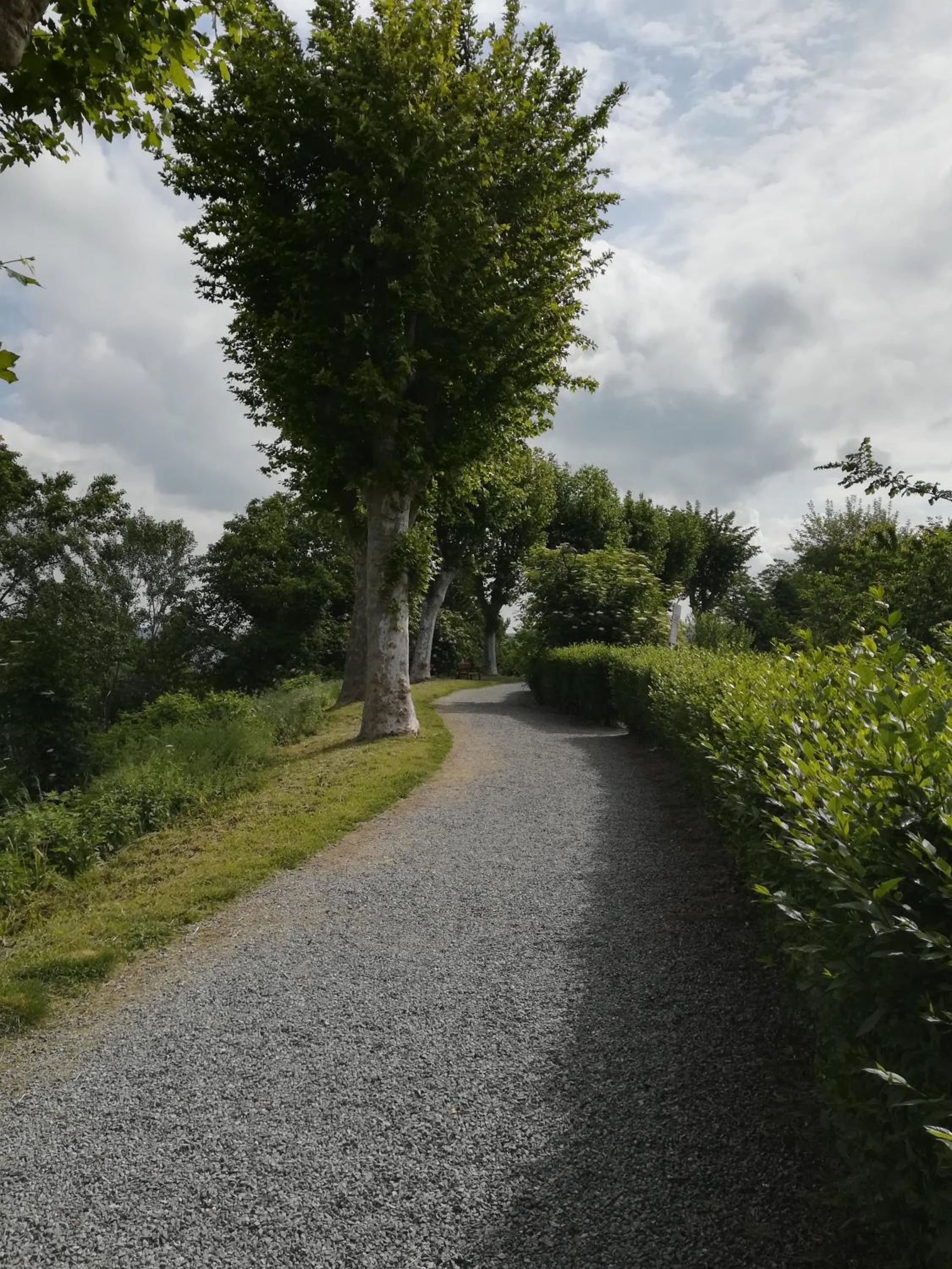 Natural landscape in B&B Ai Tre Cavalli