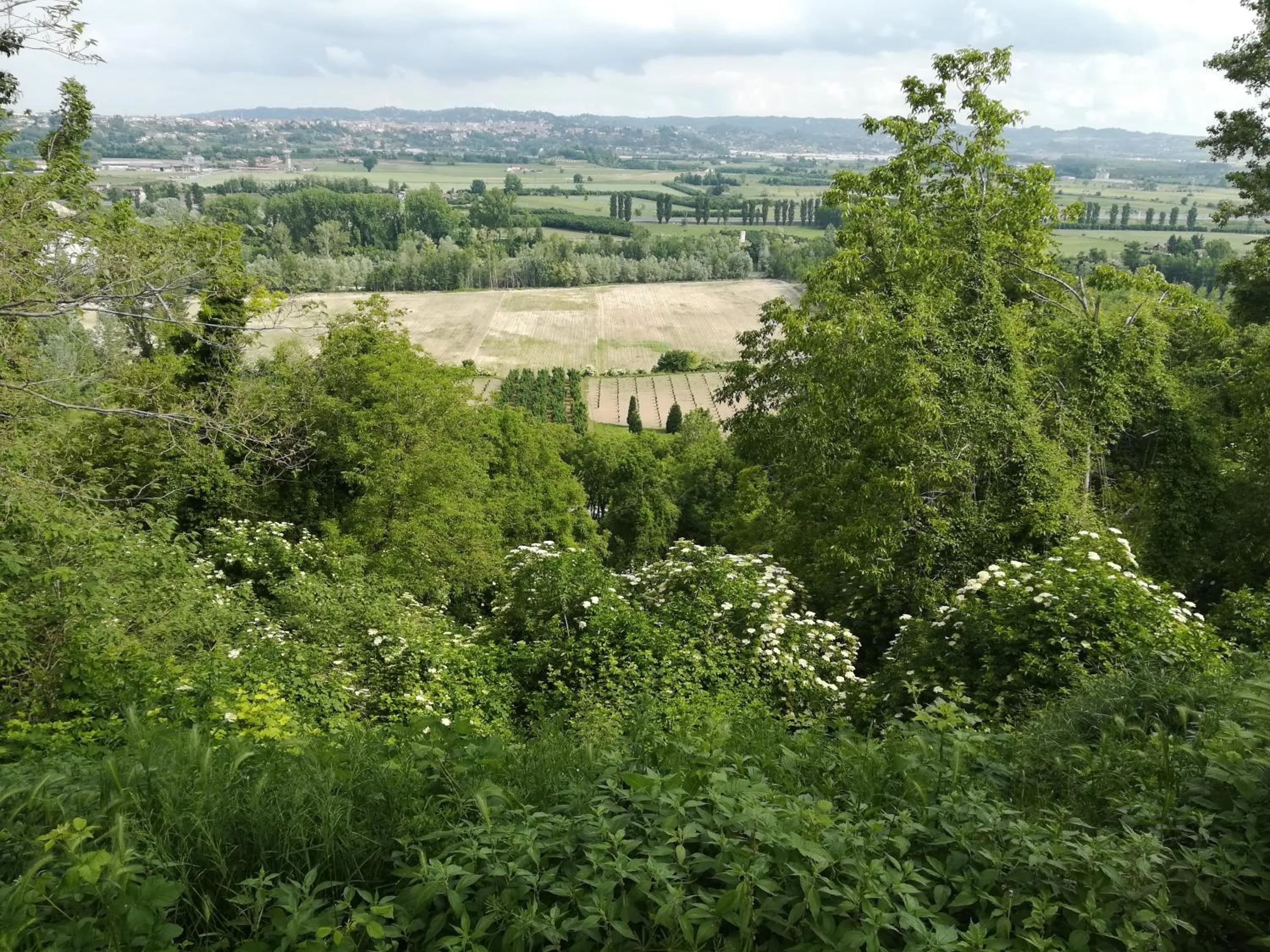 Natural landscape in B&B Ai Tre Cavalli