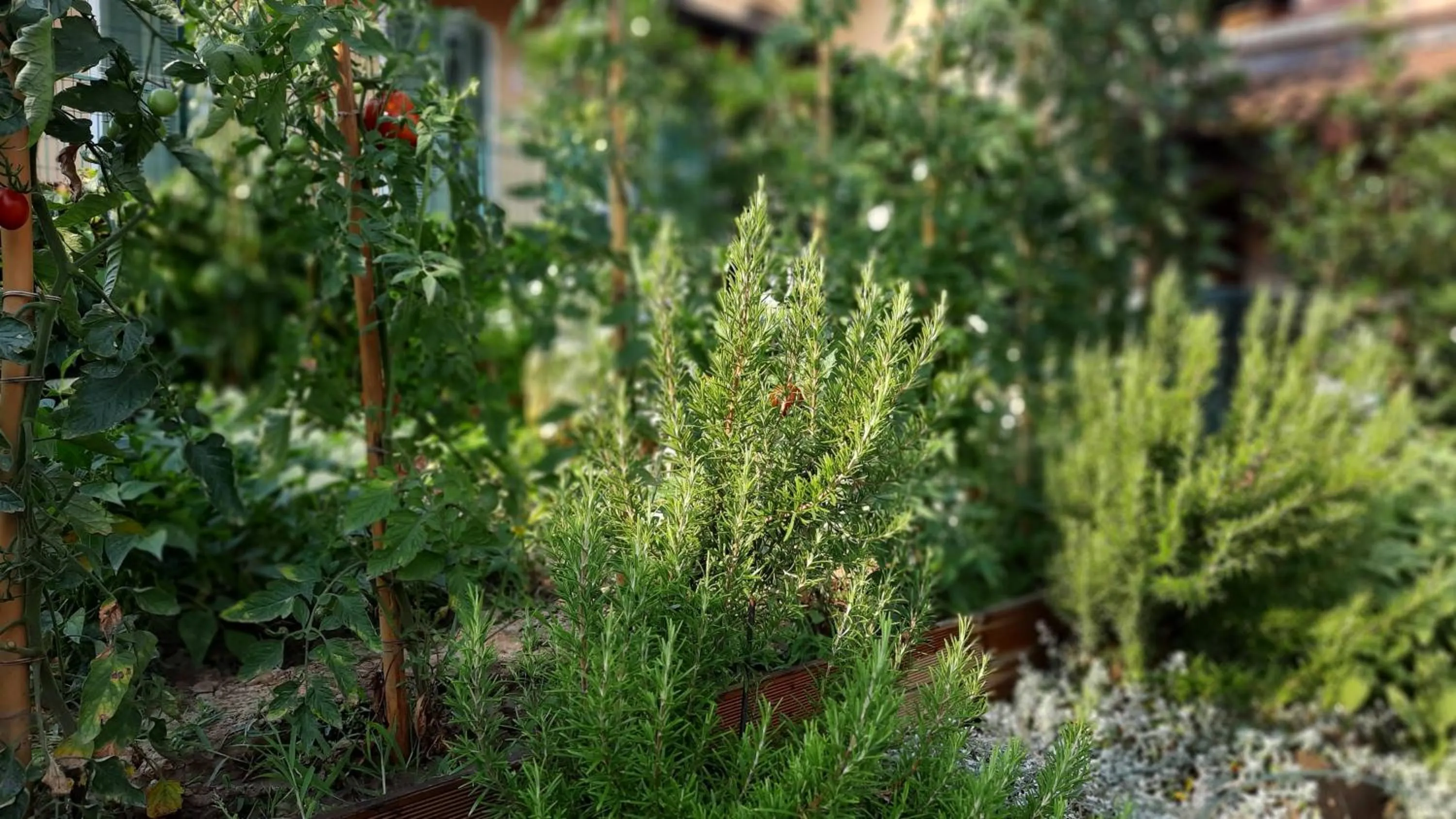 Inner courtyard view in B&B Ai Tre Cavalli