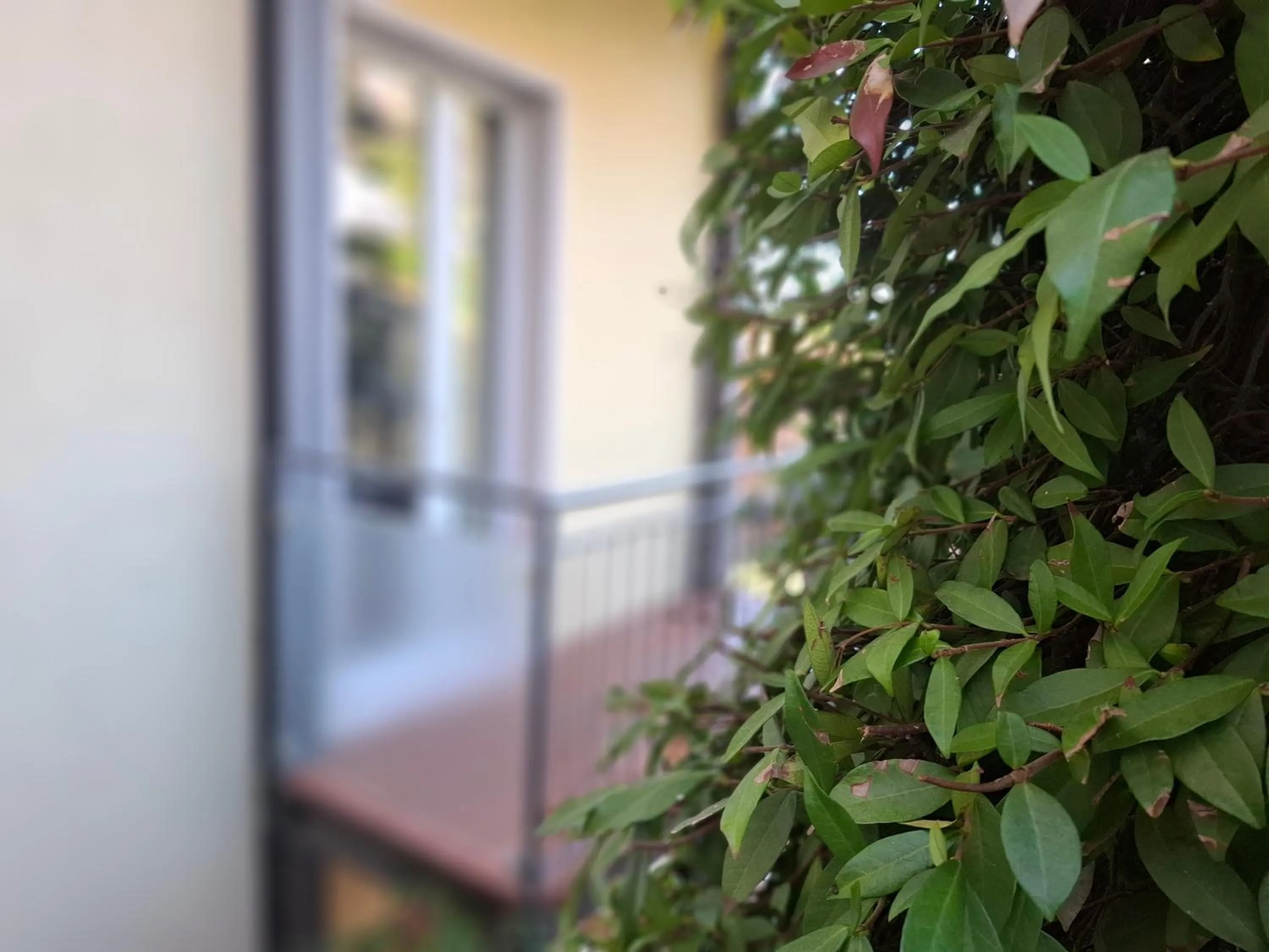 Hotel Garni Rosmari
