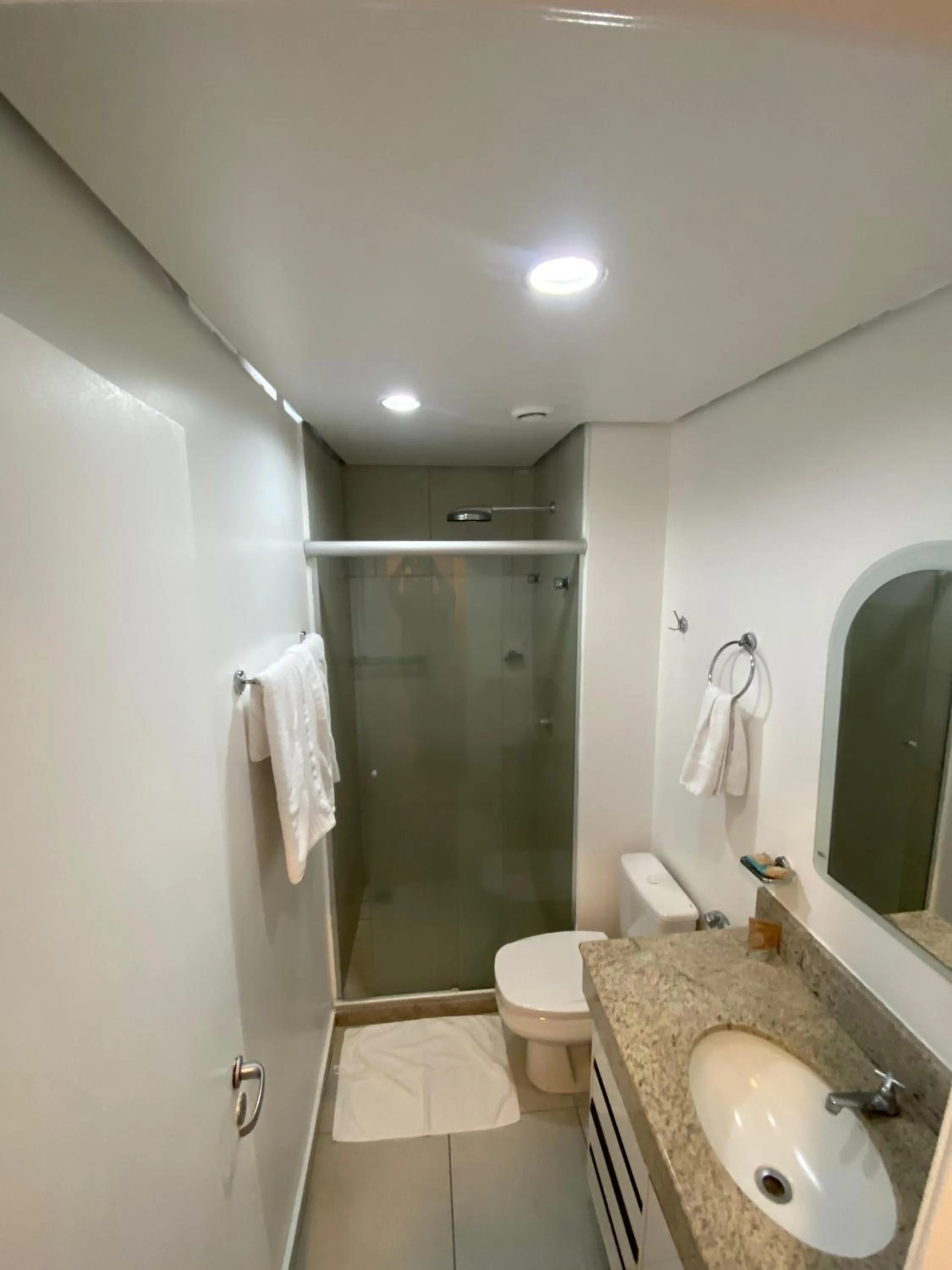 Millenium Hotel Flat