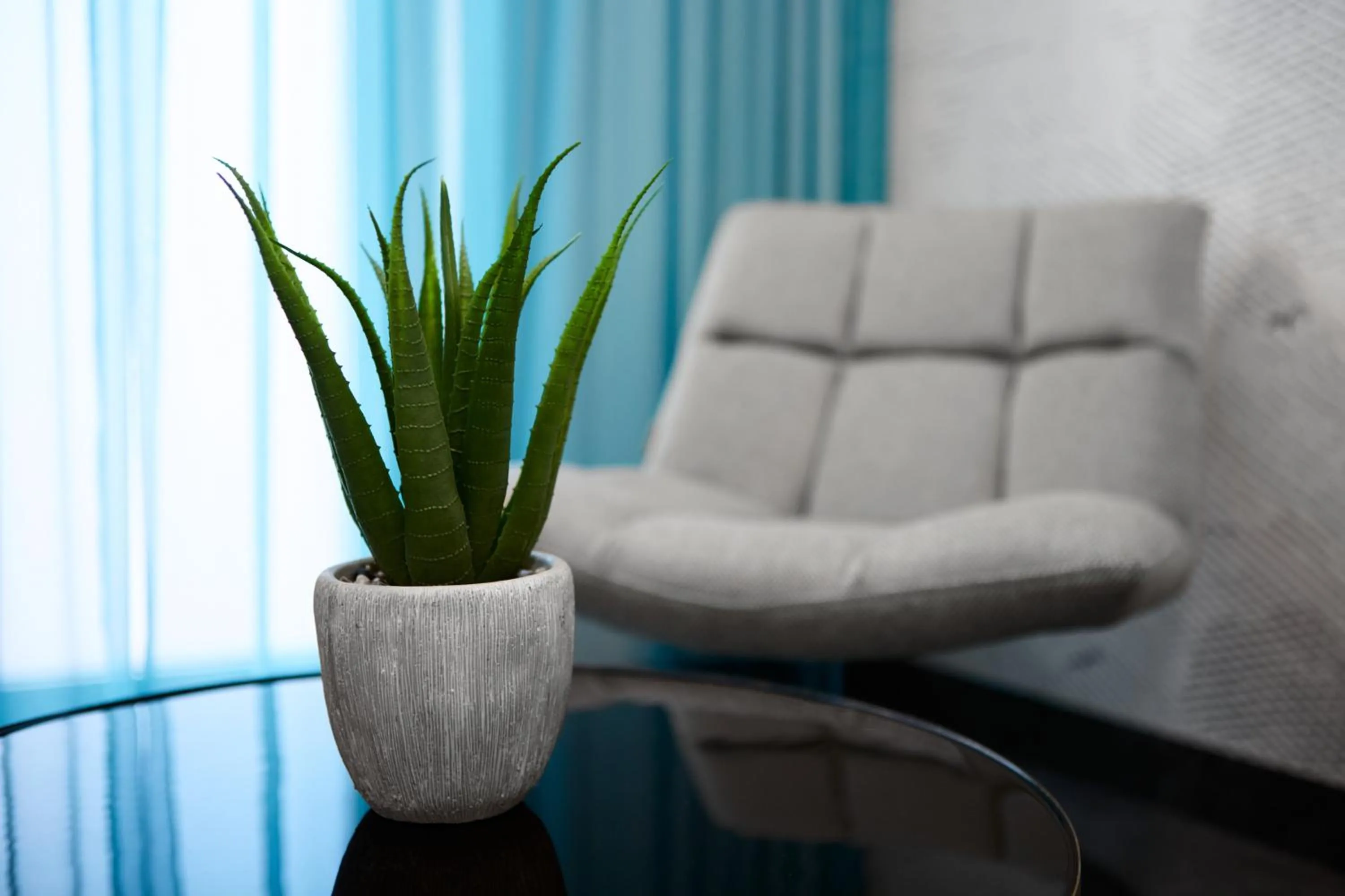 Seating area in SERVENTO Boardinghouse