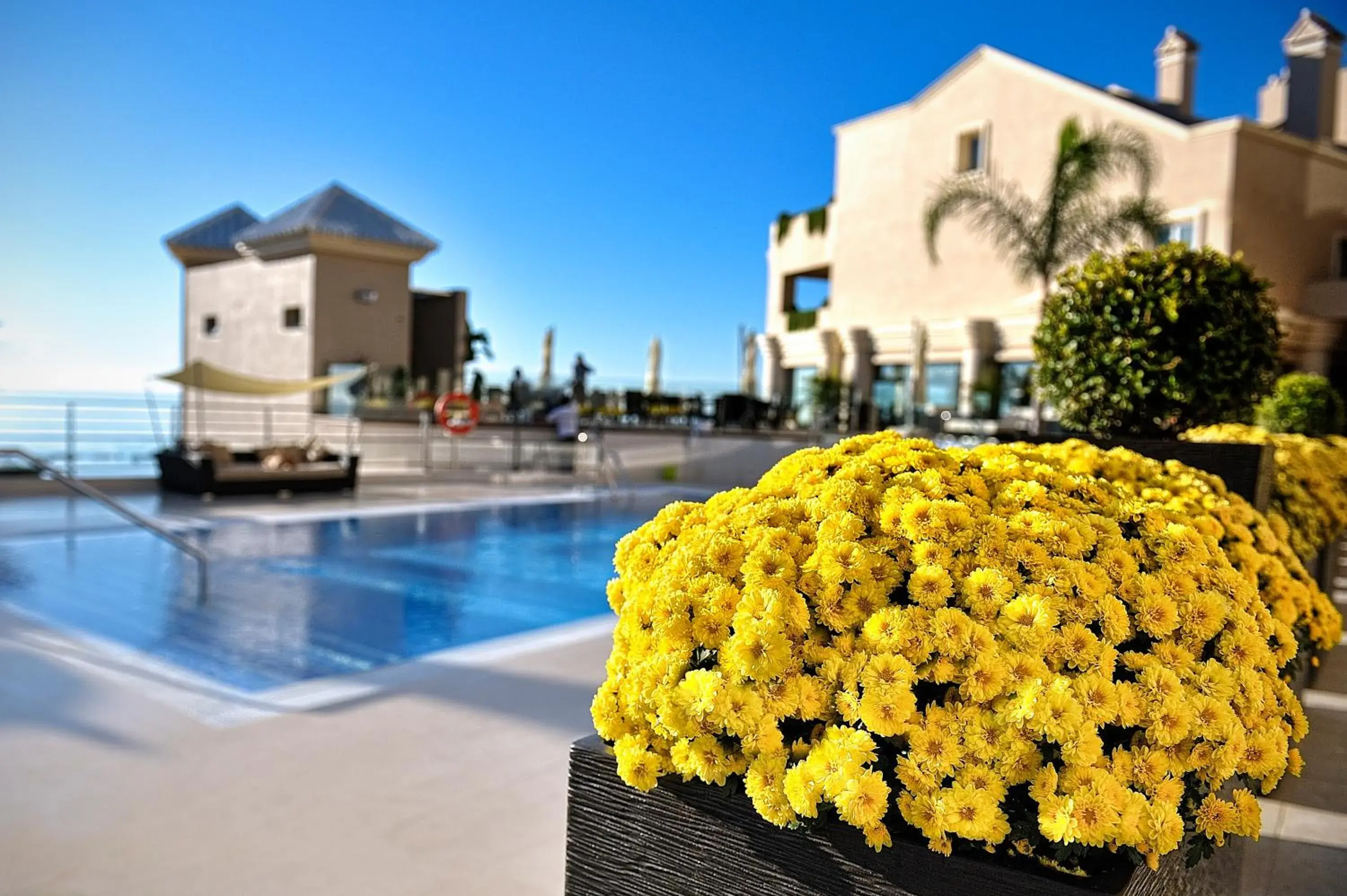 Swimming pool in Vincci Selección Aleysa Swimming pool in Vincci Selección Aleysa