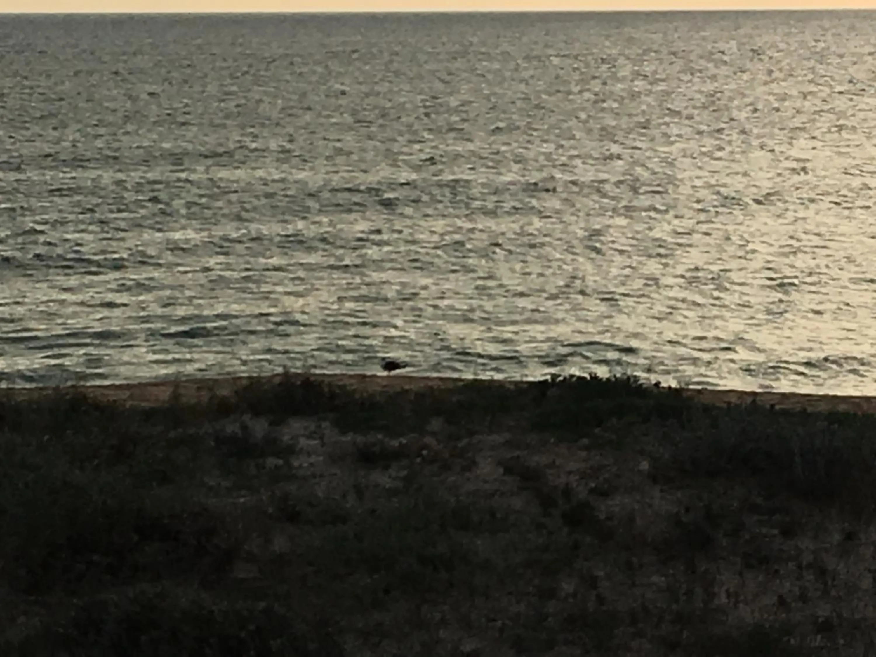 Natural landscape in Apartamentos Barracuda