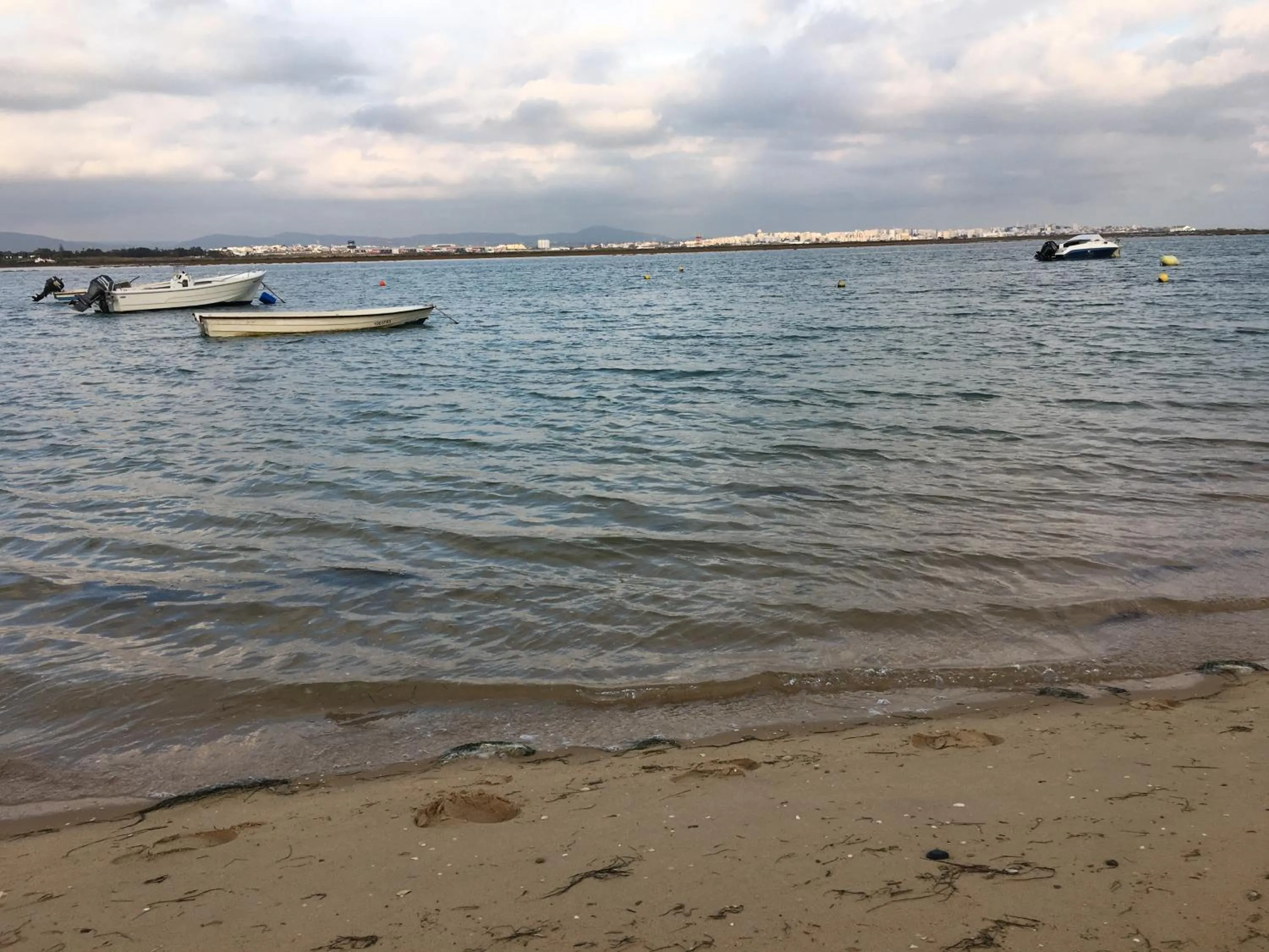 Lake view in Apartamentos Barracuda