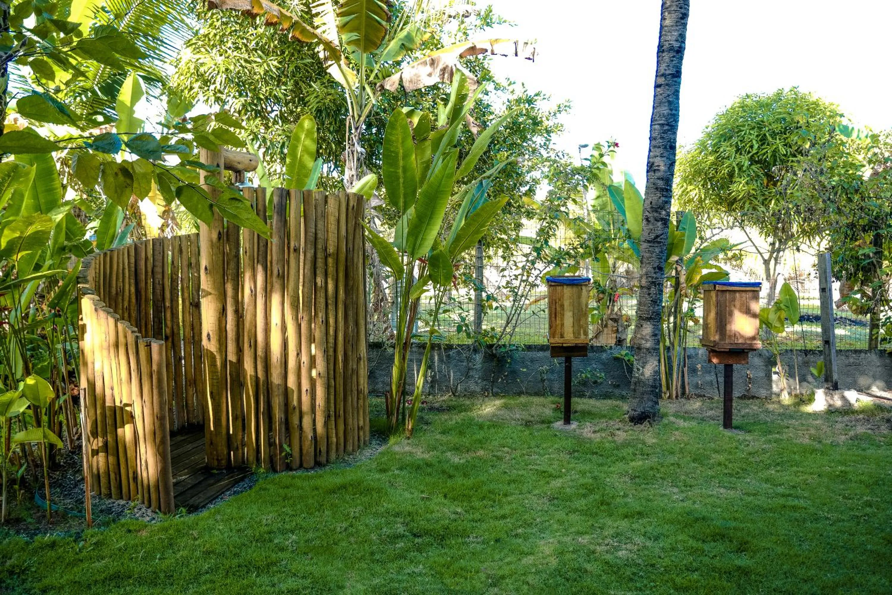 Garden in Cais Dourado Pousada