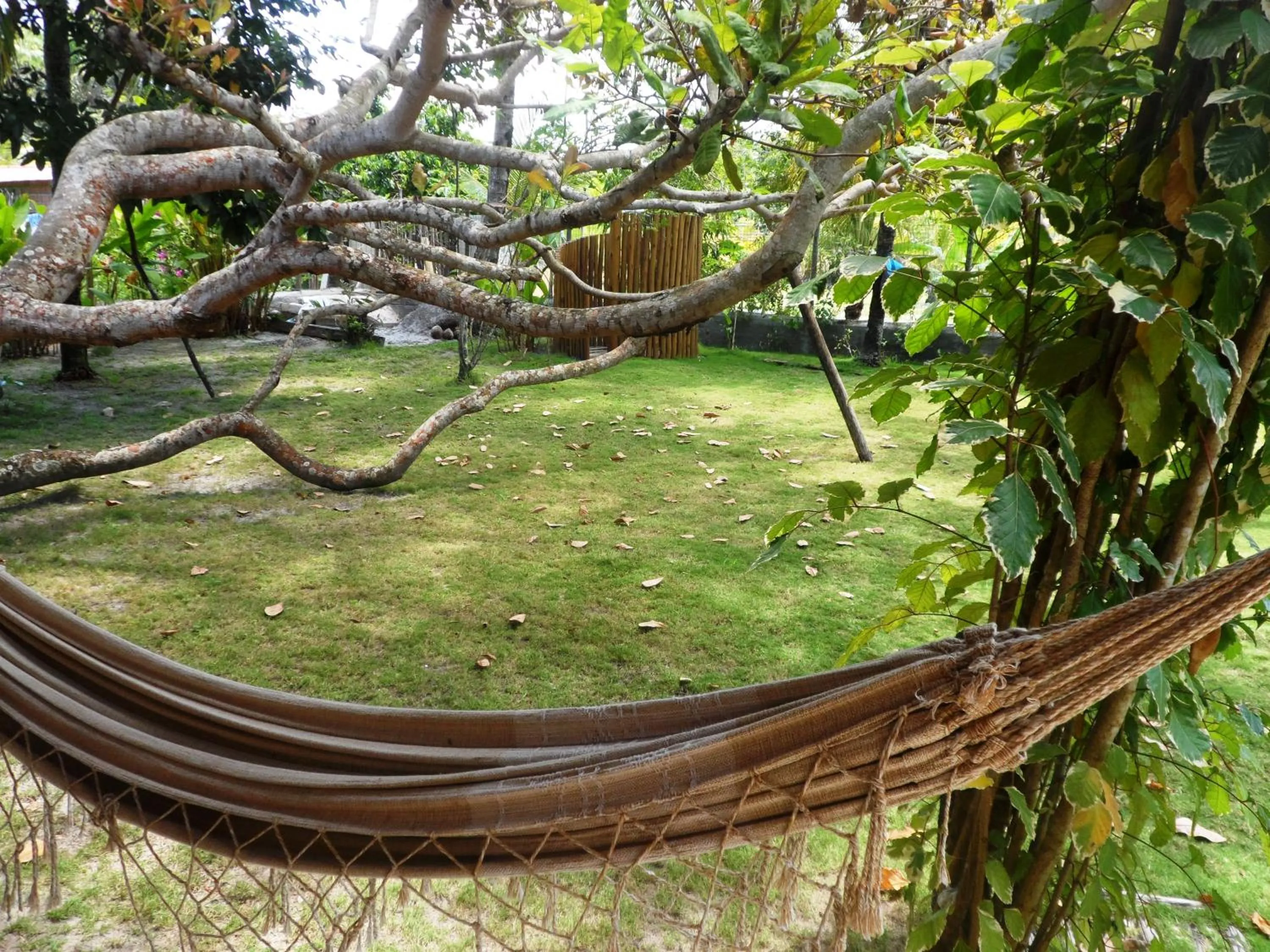 Garden in Cais Dourado Pousada
