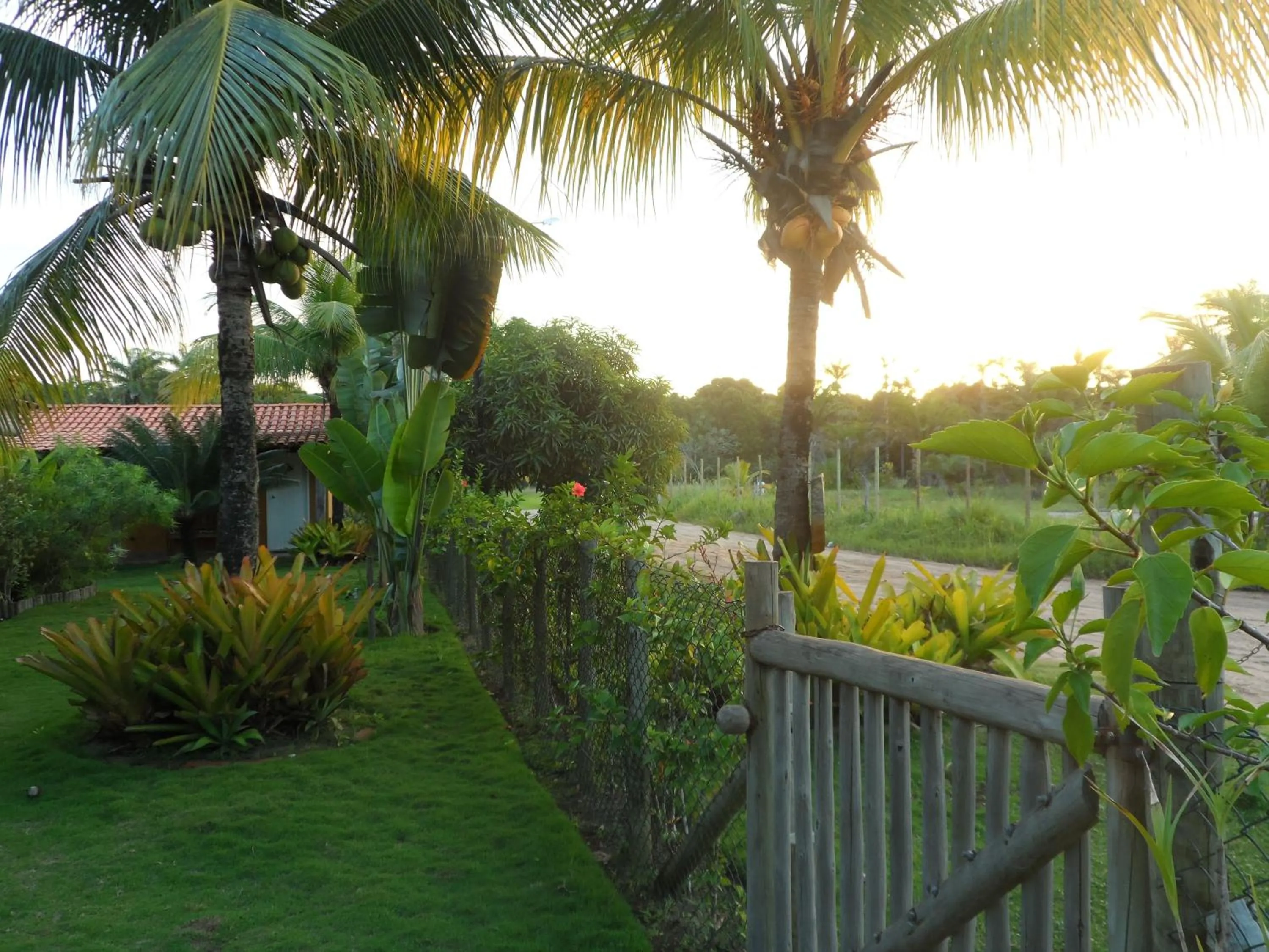 Garden view in Cais Dourado Pousada