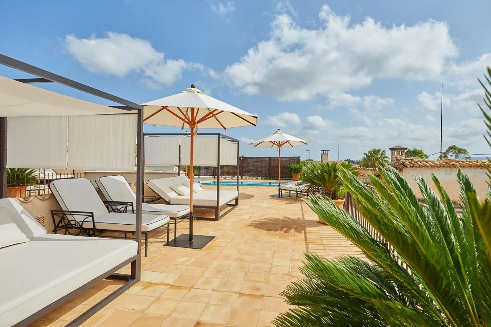 Swimming pool in Cas Comte Suites & Spa - Adults Only