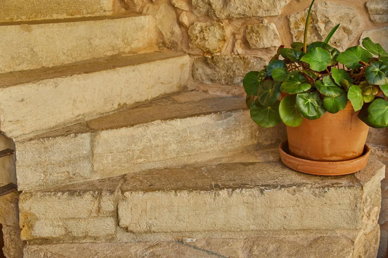 Patio in Cas Comte Suites & Spa - Adults Only