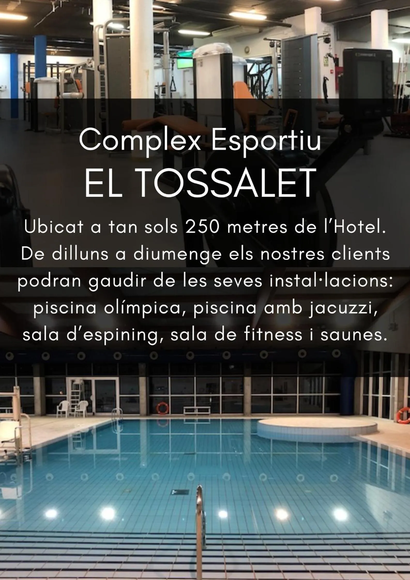 Activities in Hotel Estel