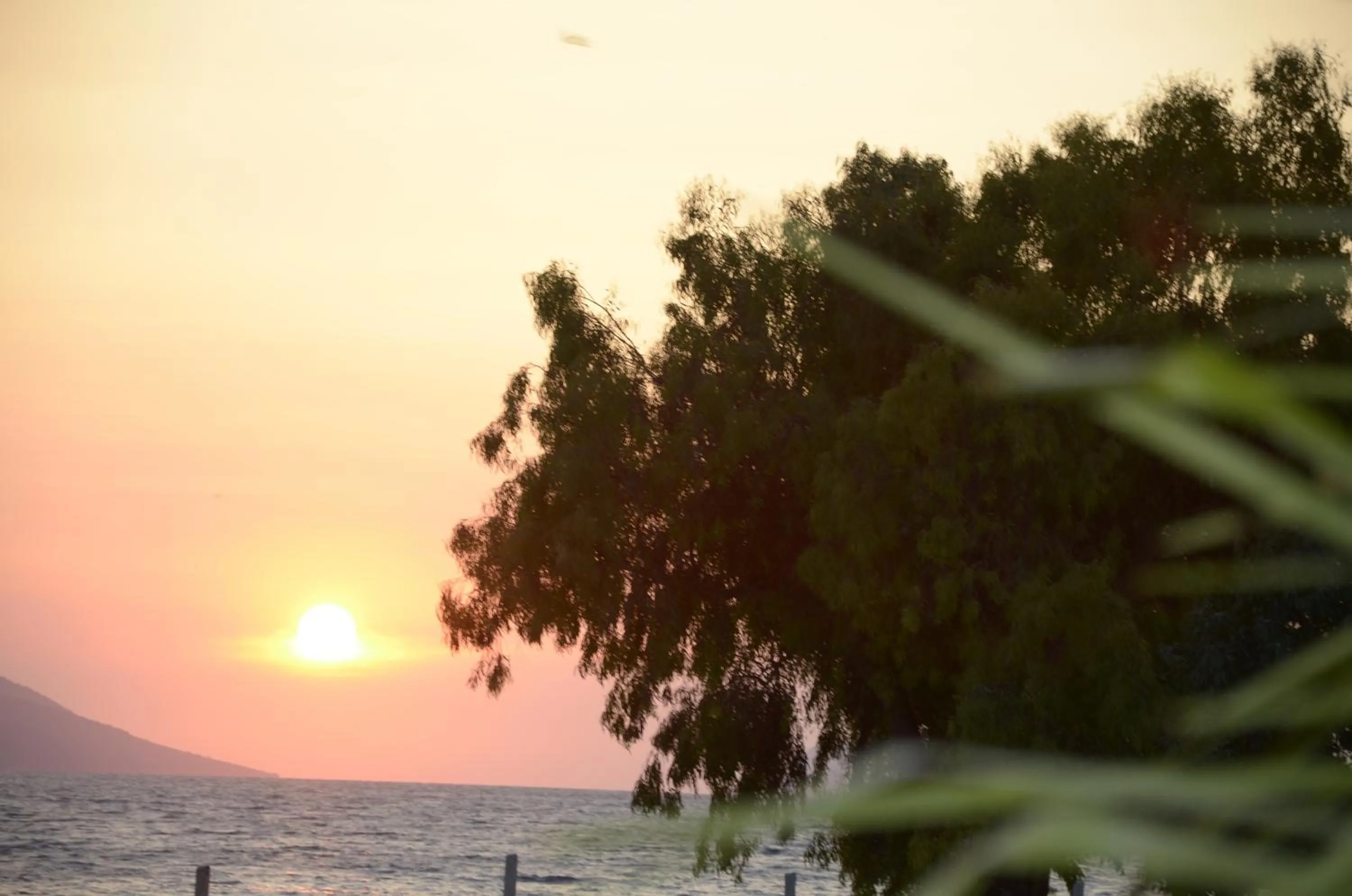 Sea view in Hotel Garden