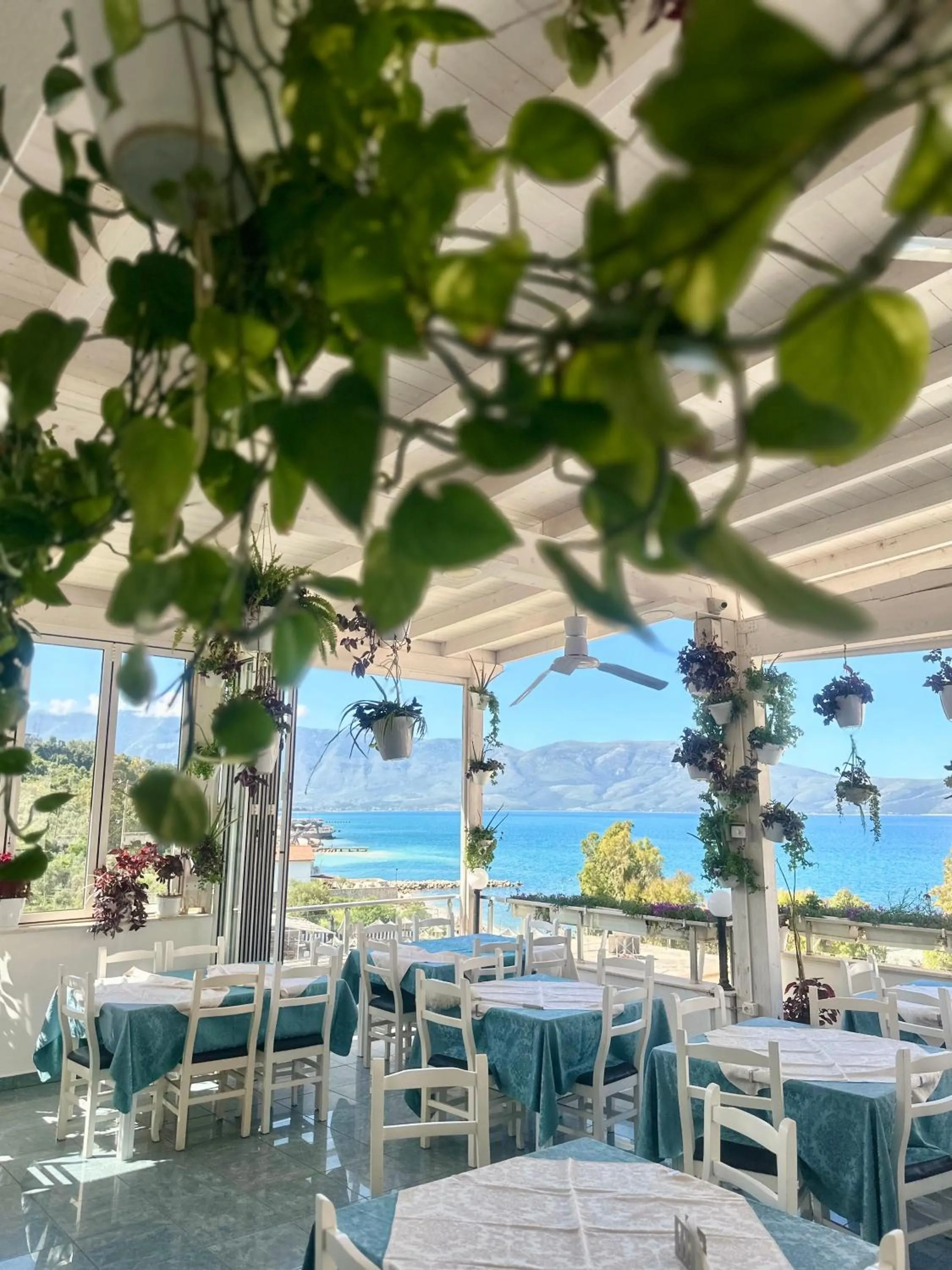 Hotel Garden