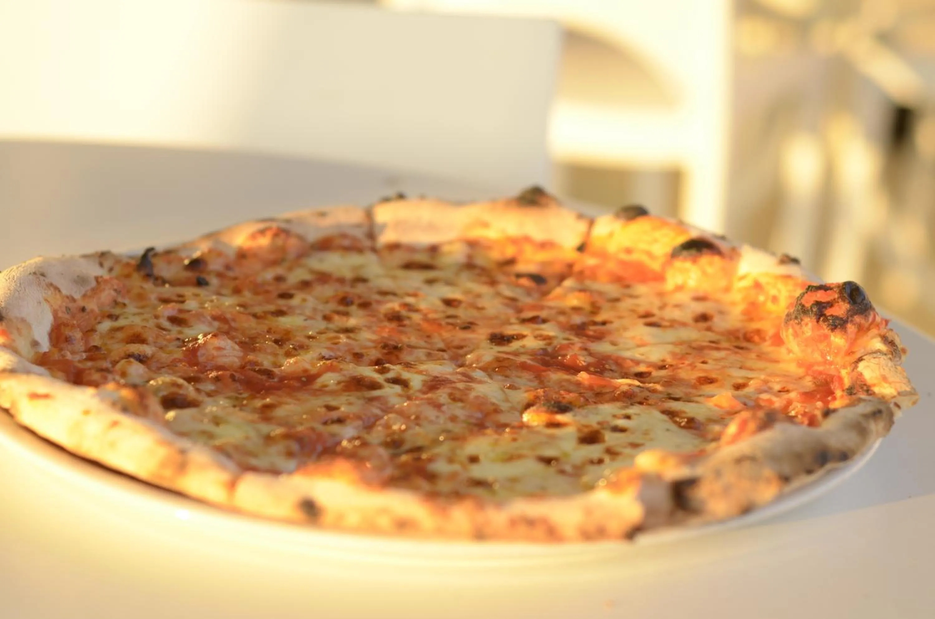 Restaurant/places to eat in Hotel Garden