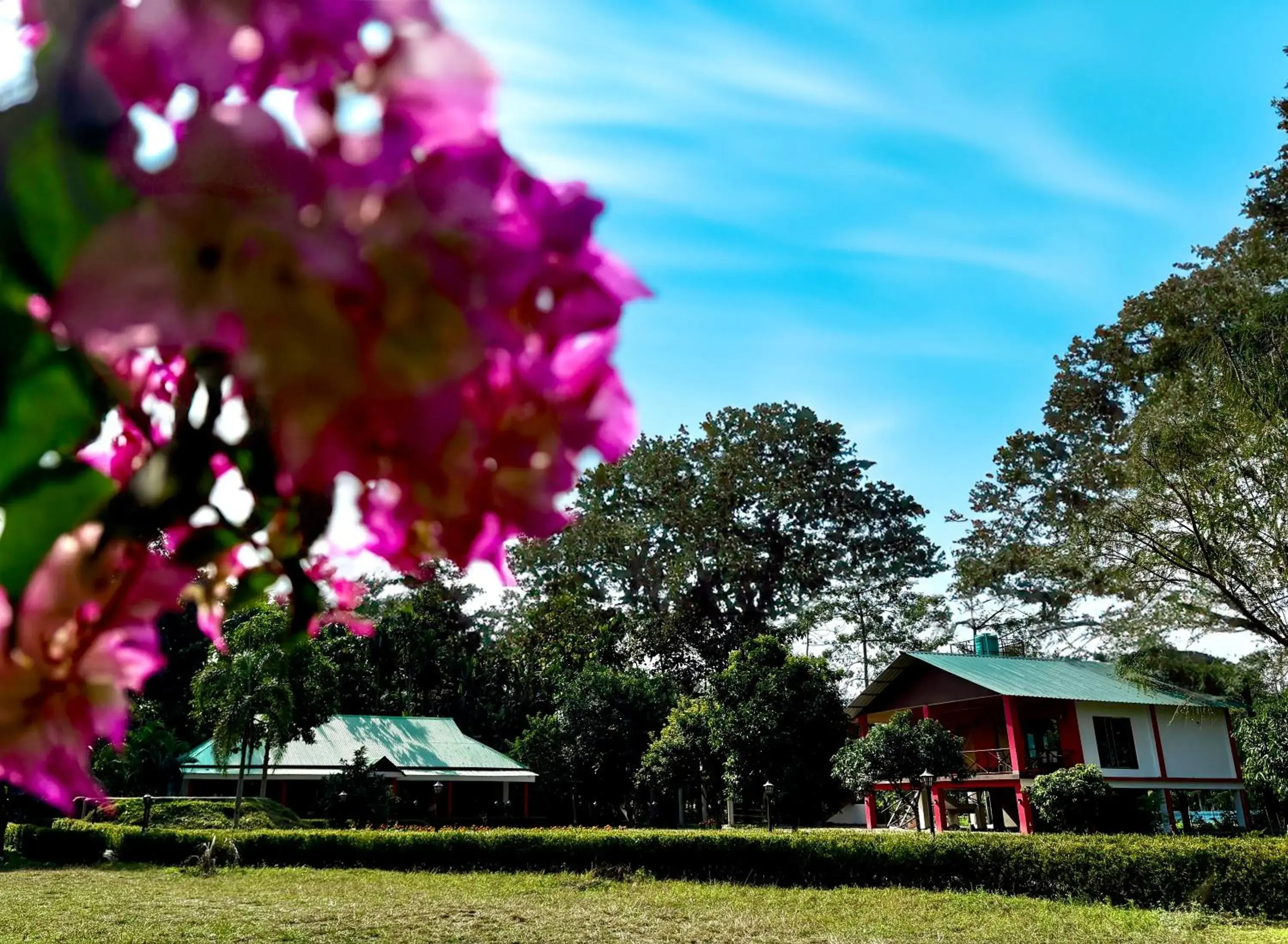 Villa de hollong Villa de hollong