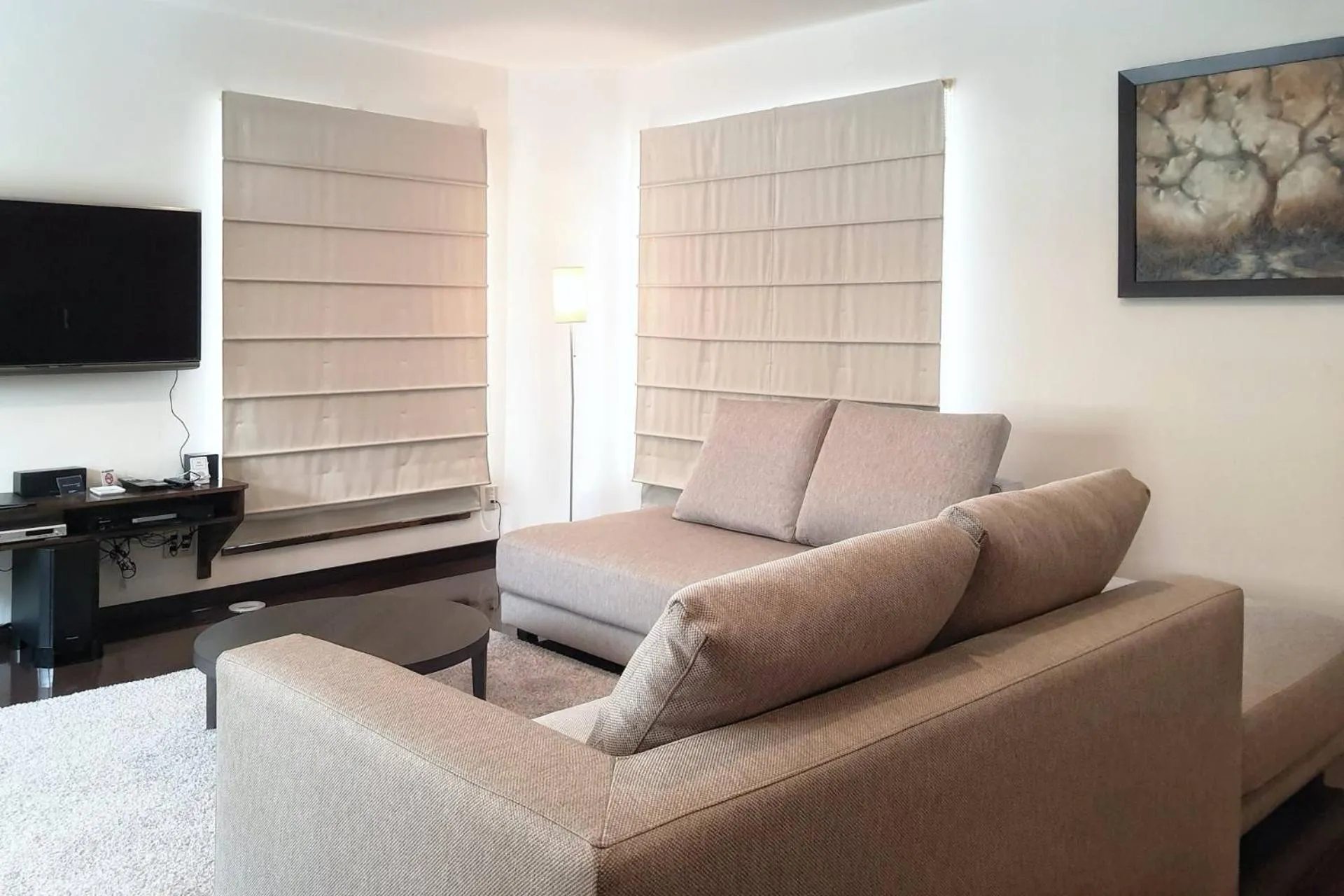 TV and multimedia in Yukisawa House
