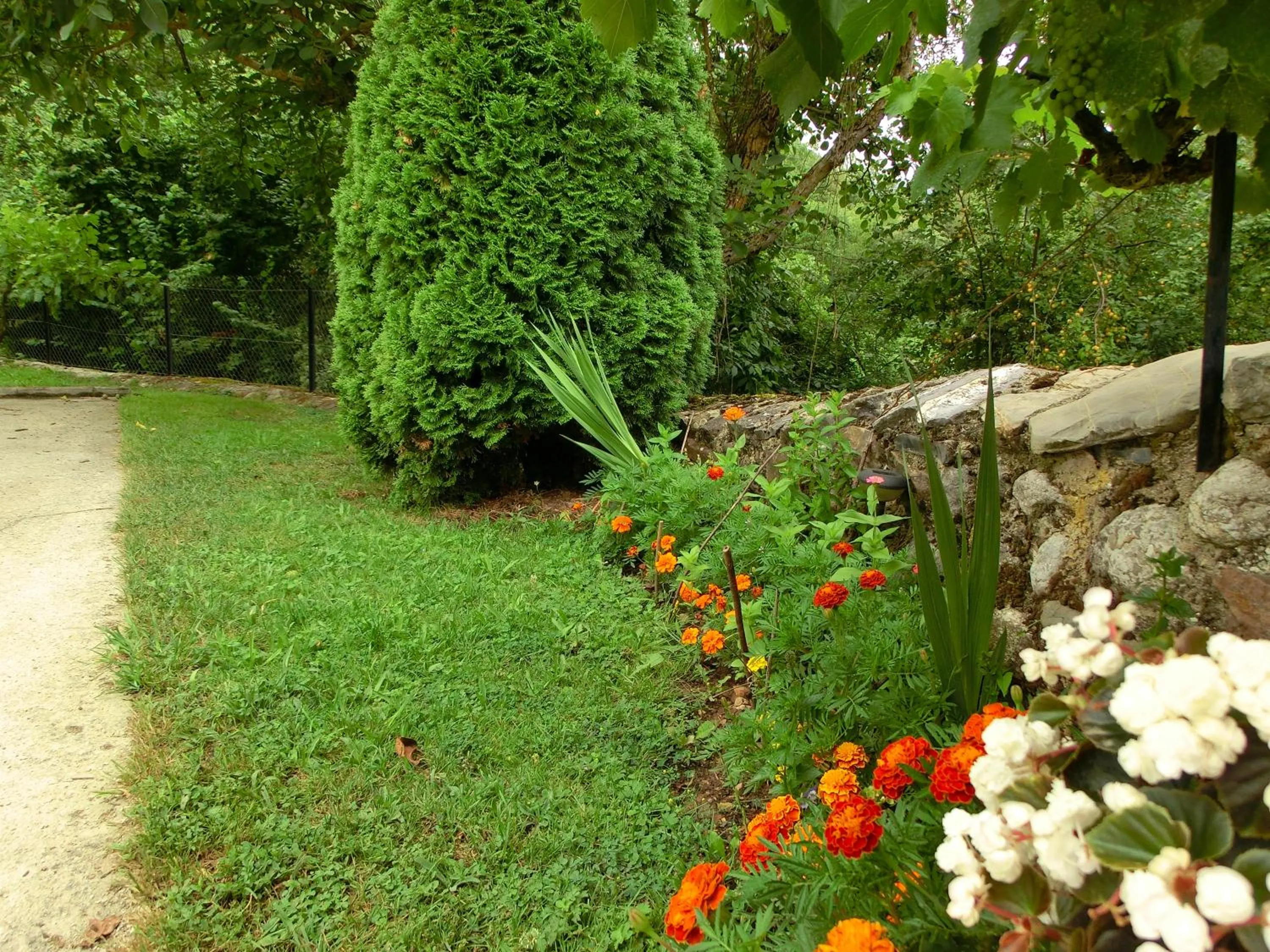 Garden in Apartamentos Javier