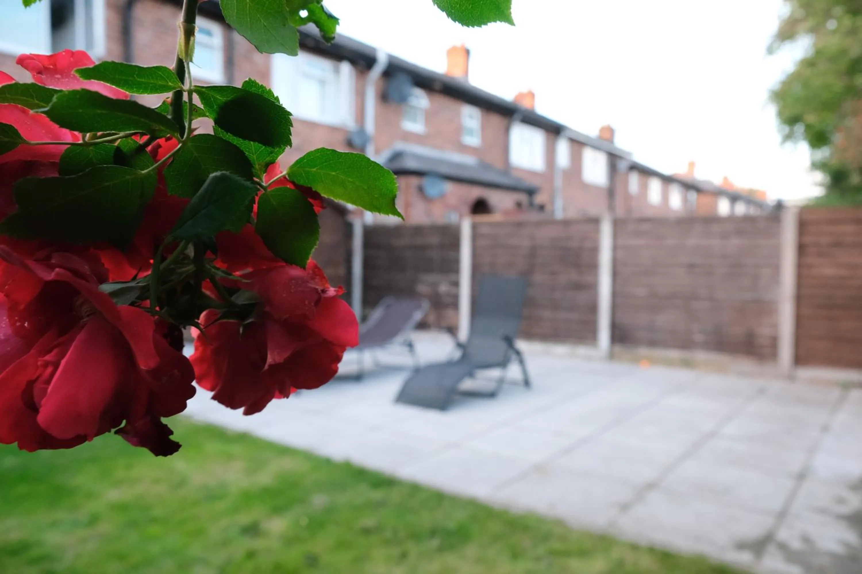 Garden in Bee Stays - Northway House