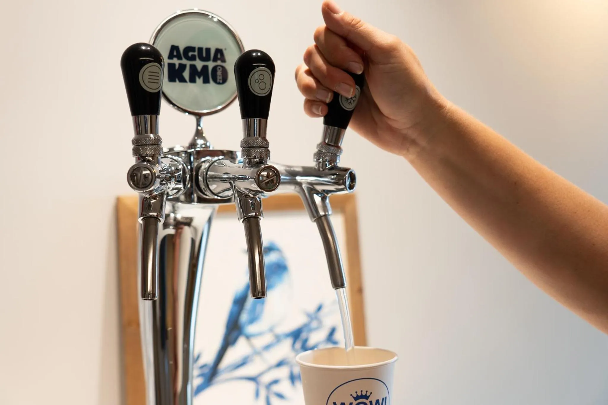 Decorative detail in Tres Torres Atiram Hotel