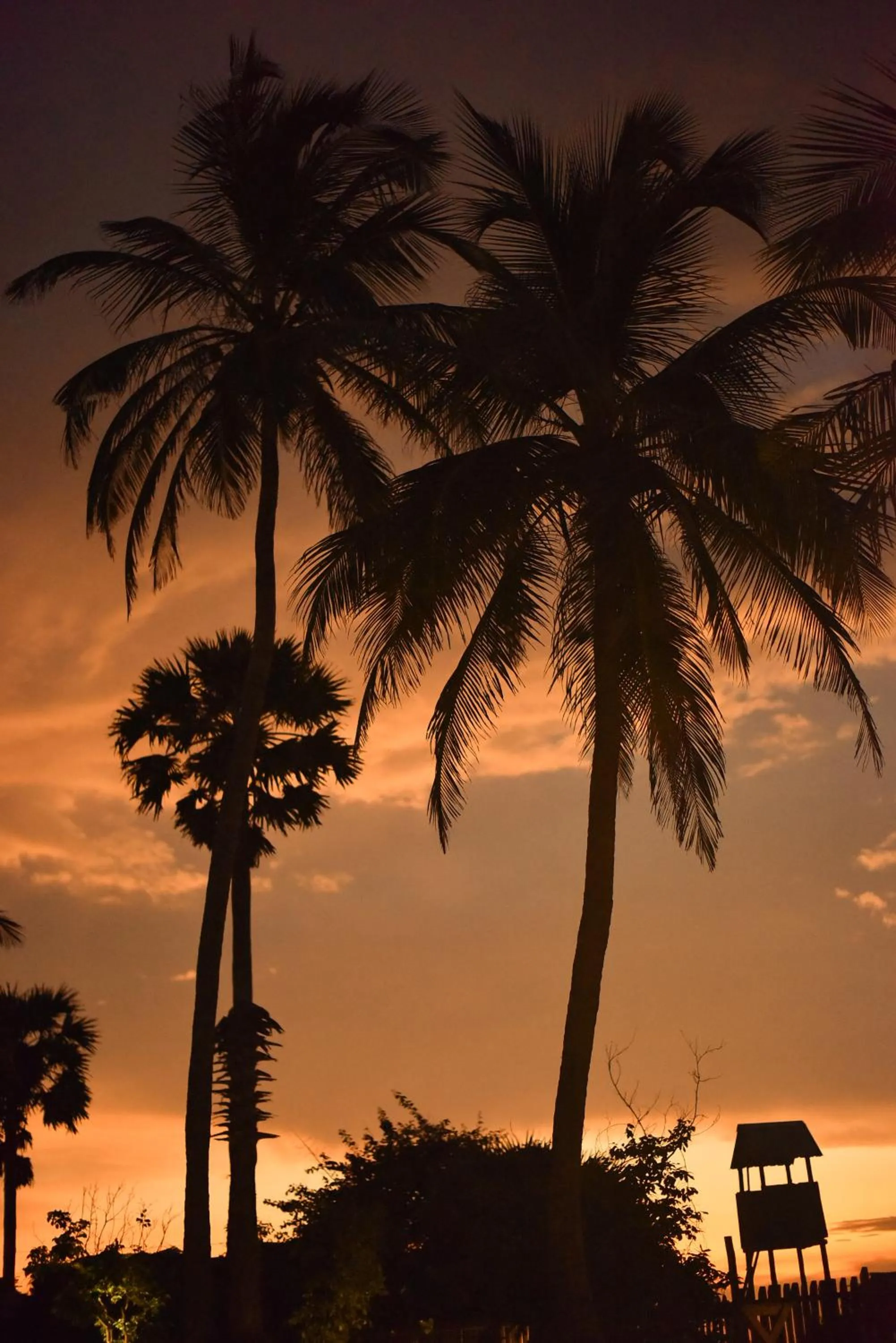 Horizon KiteSurfing Beach Resort