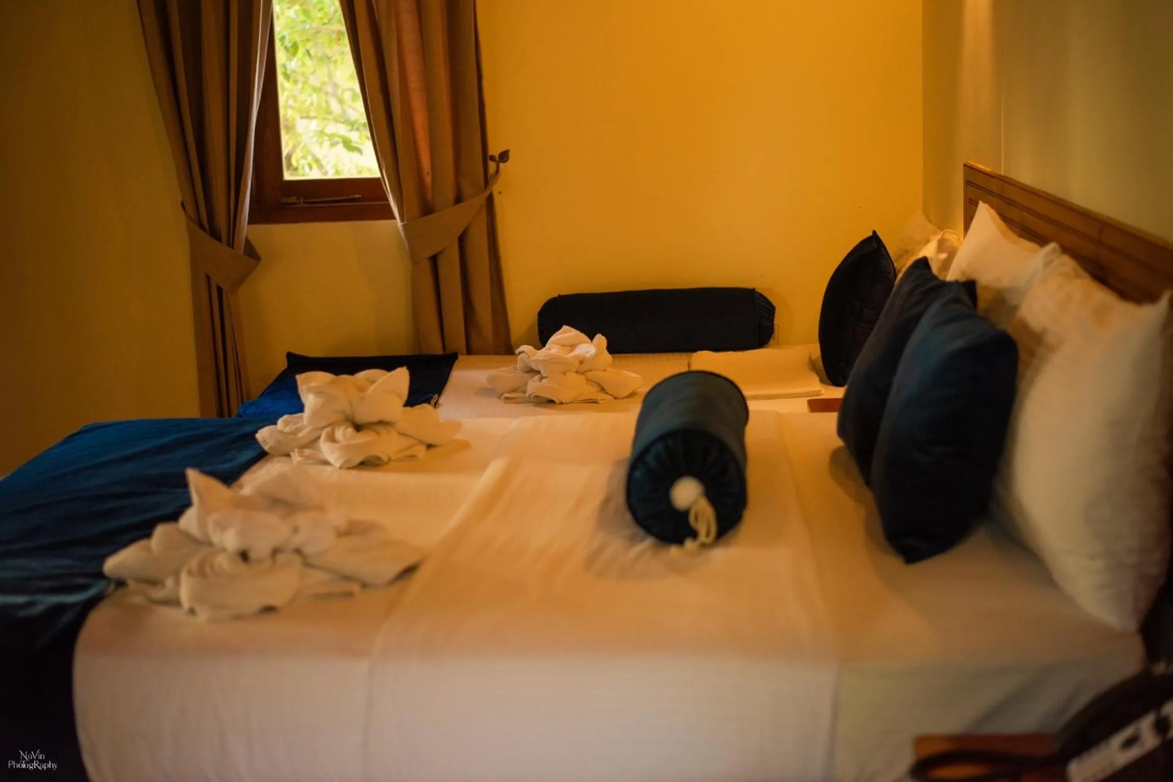 Bed in Horizon KiteSurfing Beach Resort