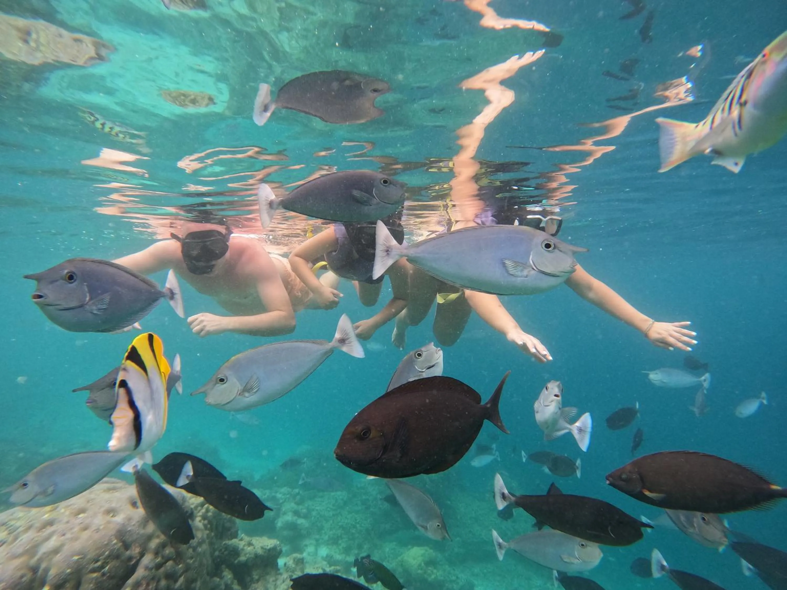 Snorkeling in Crystal Sands