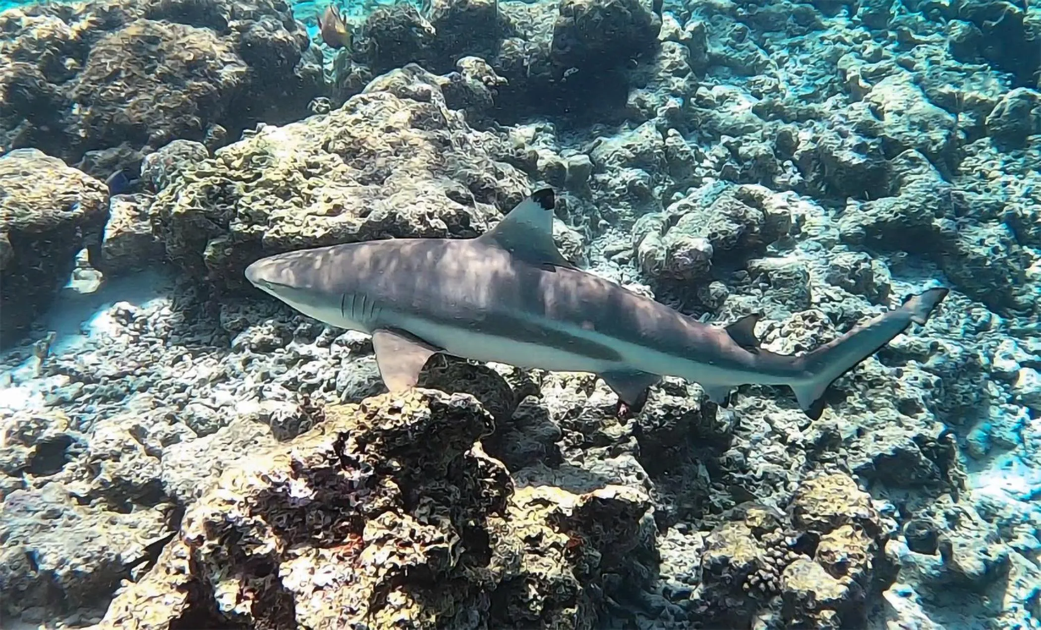 Natural landscape in Crystal Sands