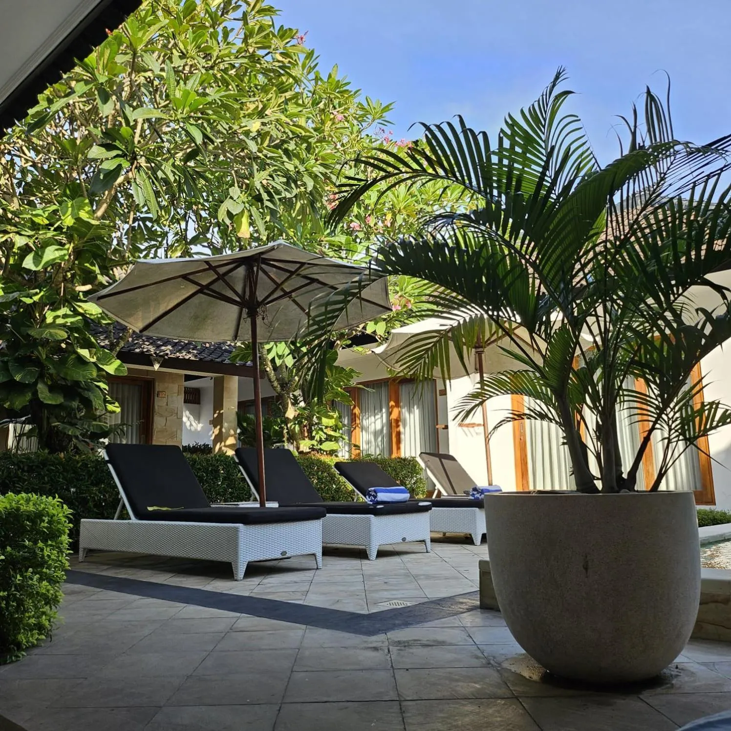 Pool view in Villa Casablanca Surf Keramas