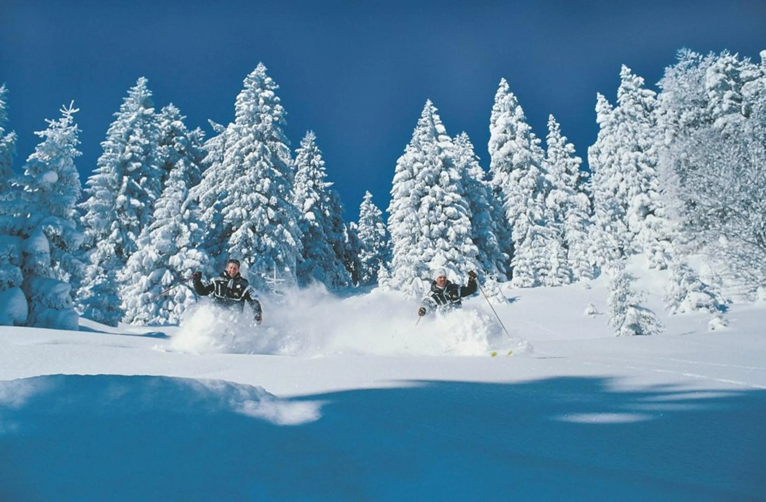 Skiing in Landhaus Gastager