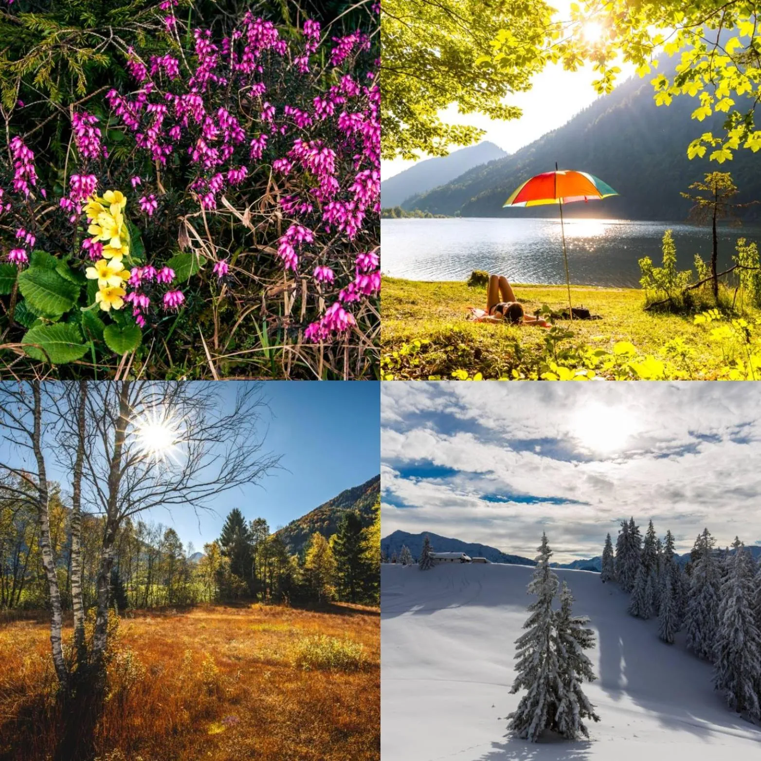 Spring in Landhaus Gastager