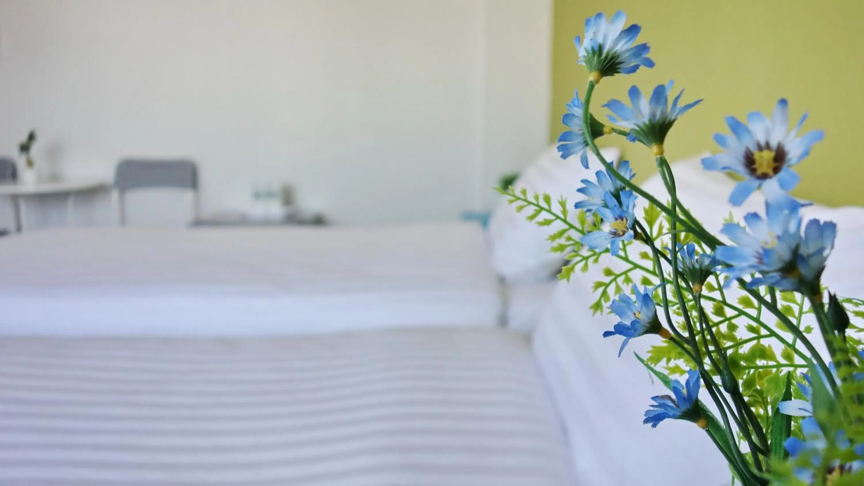 Photo of the whole room, Bed in Kata Bai D - SHA Certificate Hotel Photo of the whole room, Bed in Kata Bai D - SHA Certificate Hotel