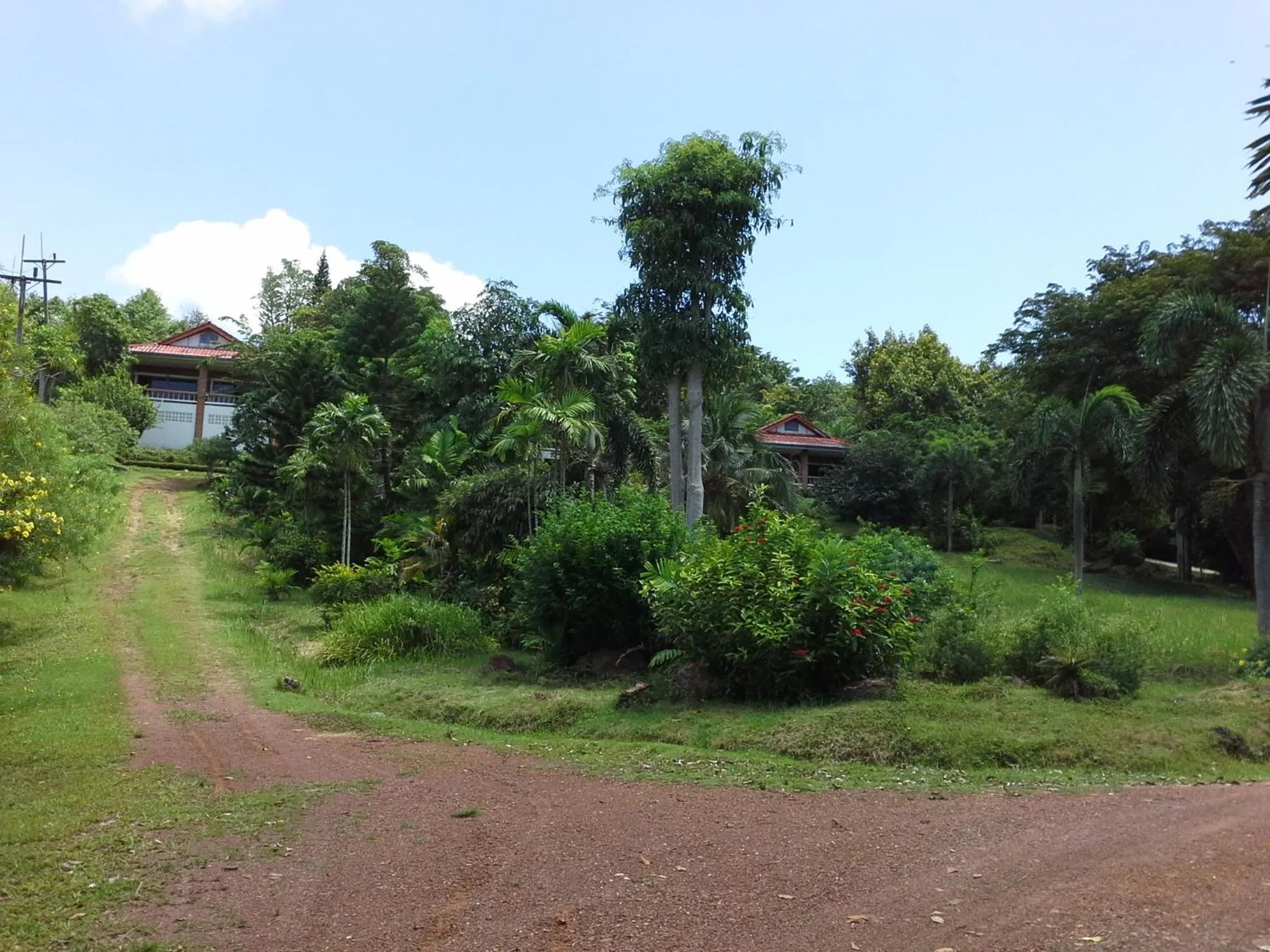 Garden in Freedom Estate sea view Apartments