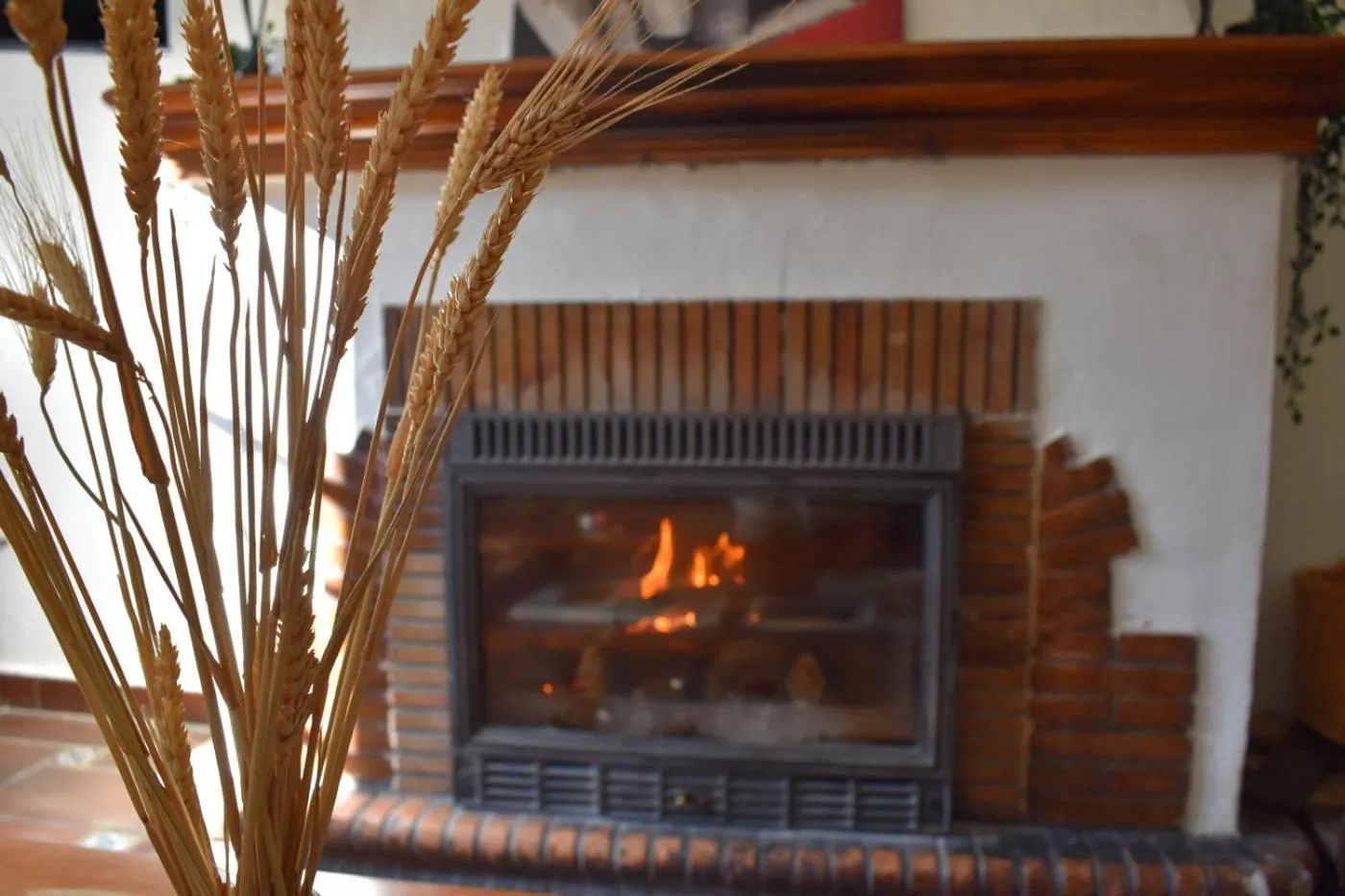 Communal lounge/ TV room in Hotel Humaina