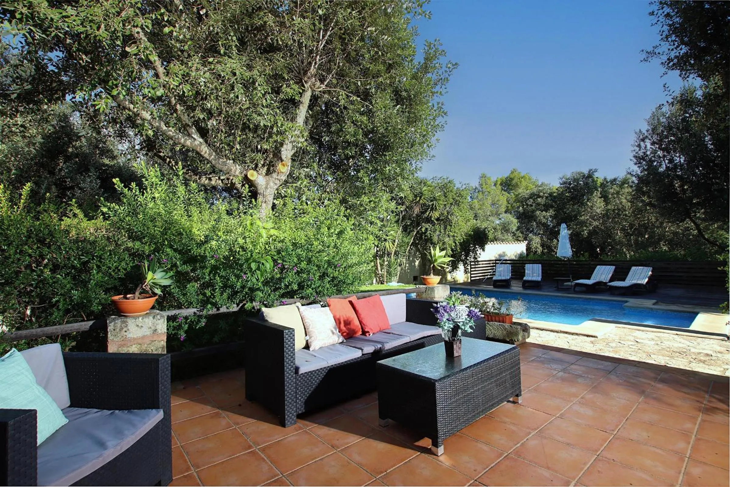 Garden view in Villa Can Moranta - Pedro Monjo