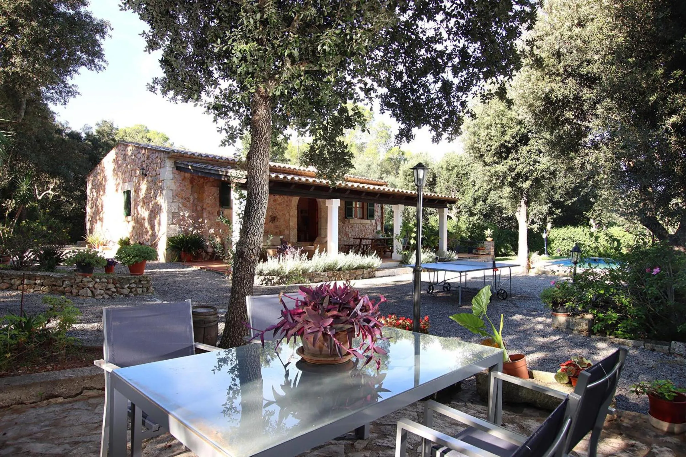 Garden view in Villa Can Moranta - Pedro Monjo