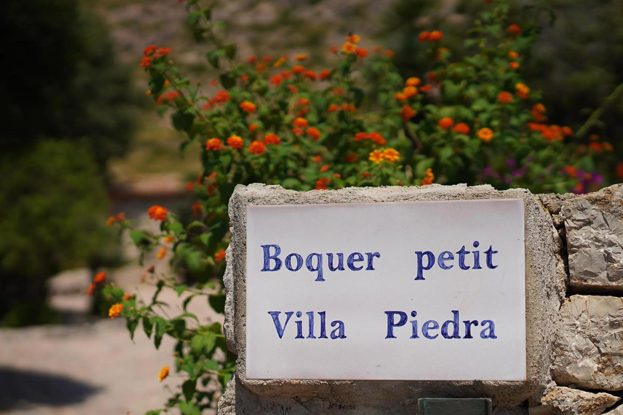 Villa Boquer Petit - Piedra