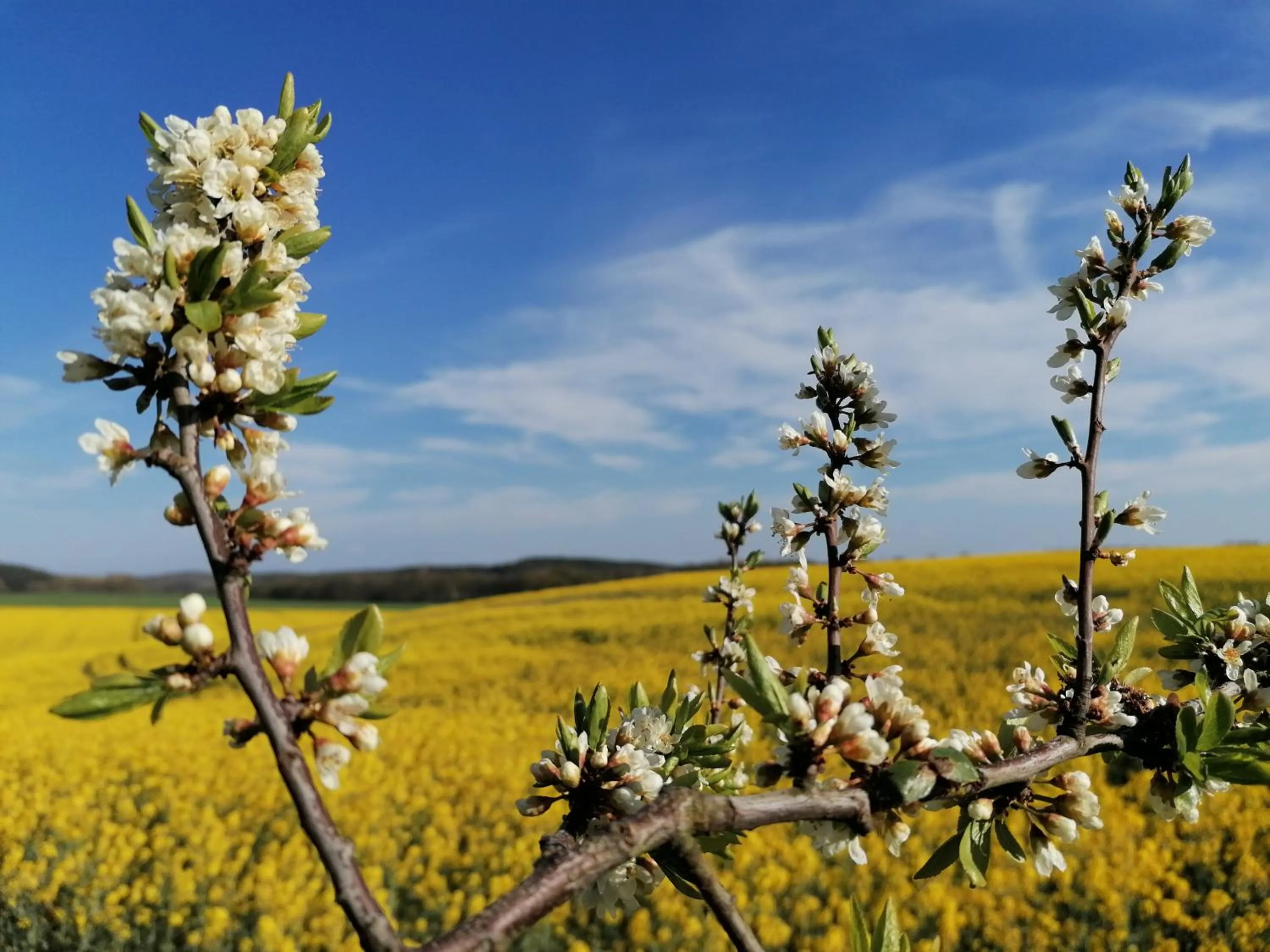 Spring in Haus auf der Höhe - FeWo Neuhof
